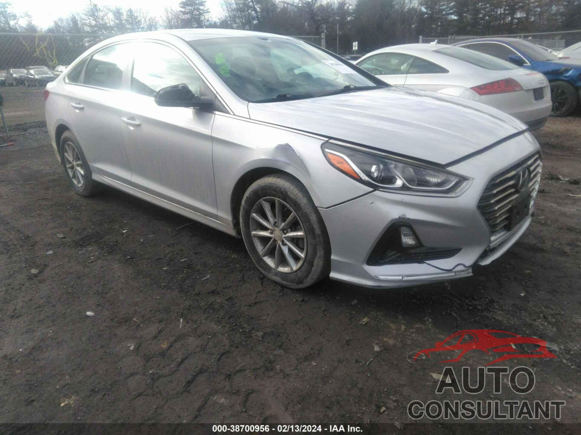 HYUNDAI SONATA 2019 - 5NPE24AF1KH800600