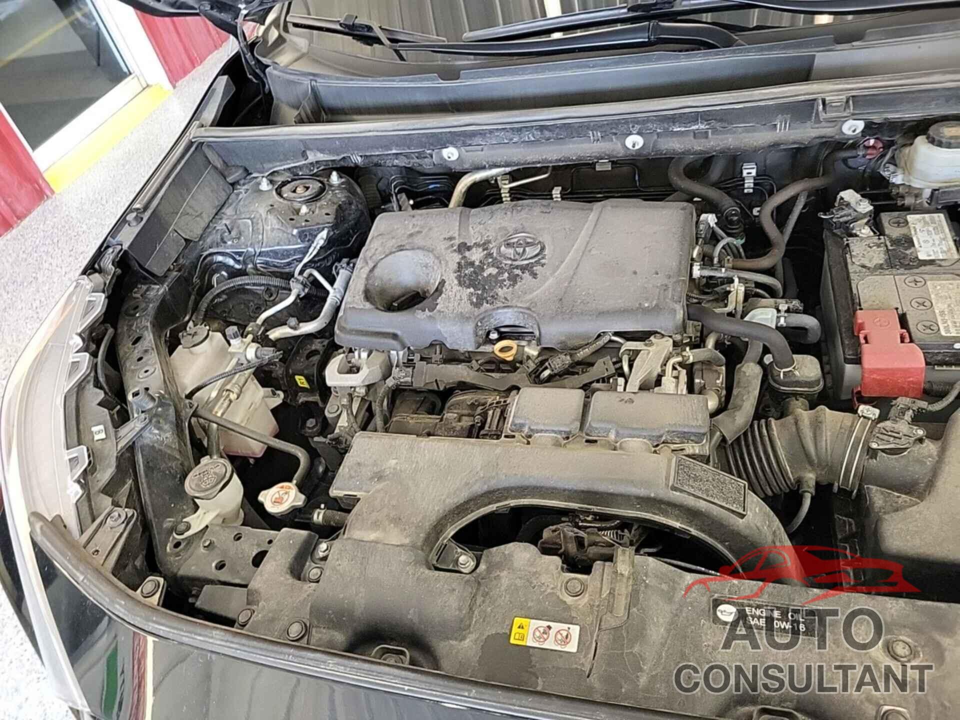 TOYOTA RAV4 2019 - 2T3F1RFV0KW061829
