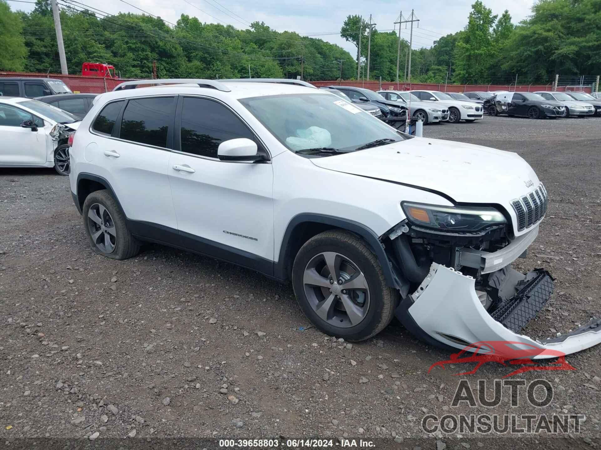 JEEP CHEROKEE 2019 - 1C4PJMDX8KD282961