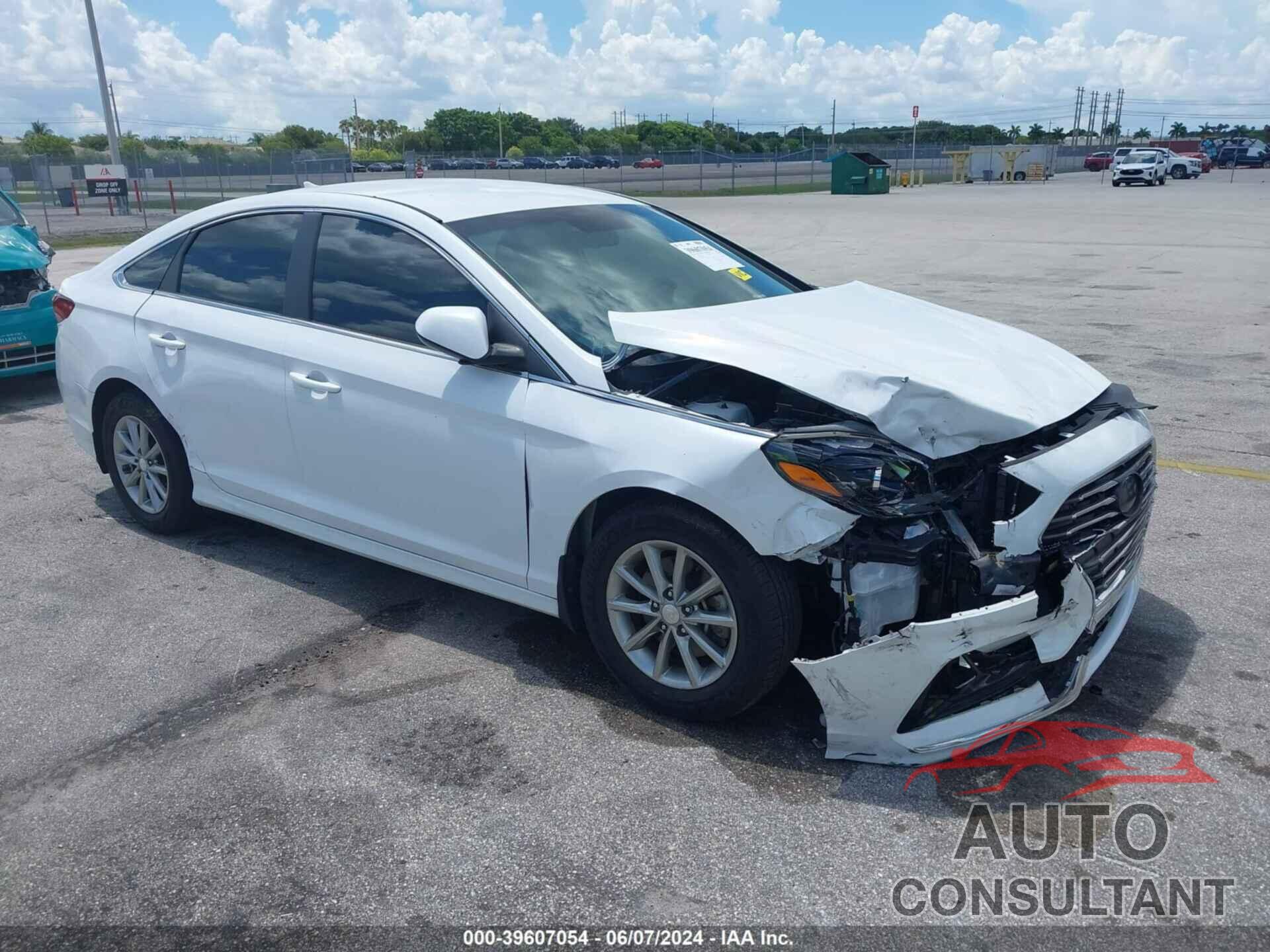 HYUNDAI SONATA 2019 - 5NPE24AF2KH737894