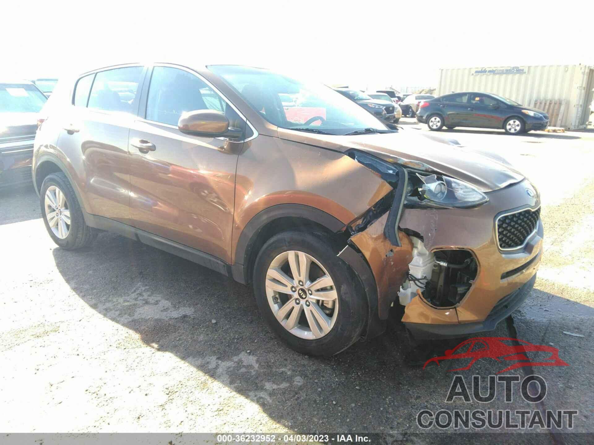 KIA SPORTAGE 2019 - KNDPM3AC9K7556668