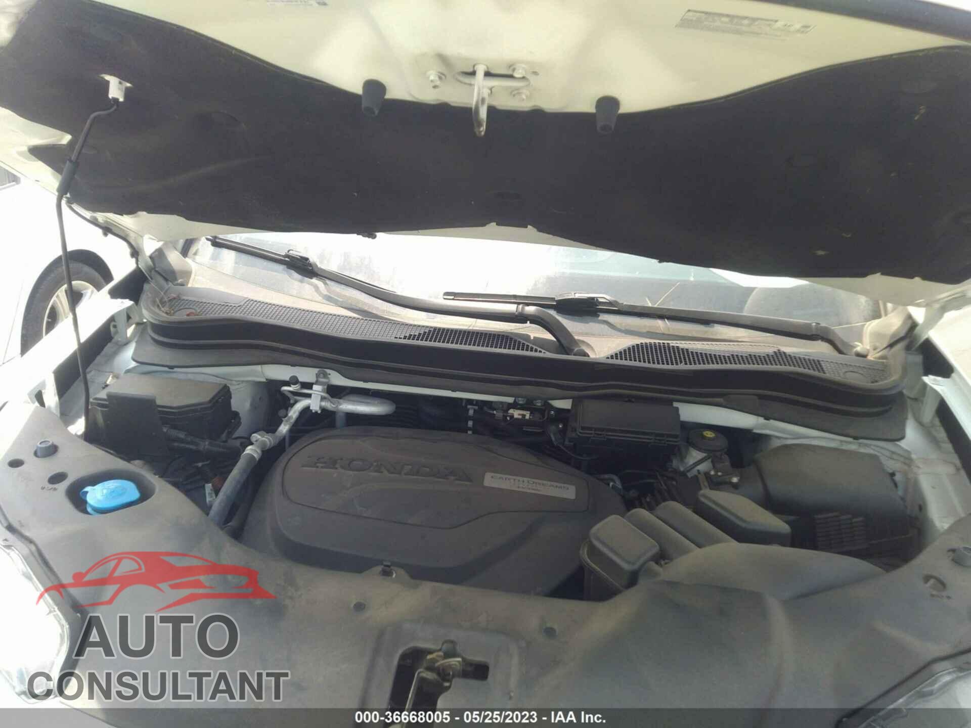 HONDA PILOT 2019 - 5FNYF6H69KB078908