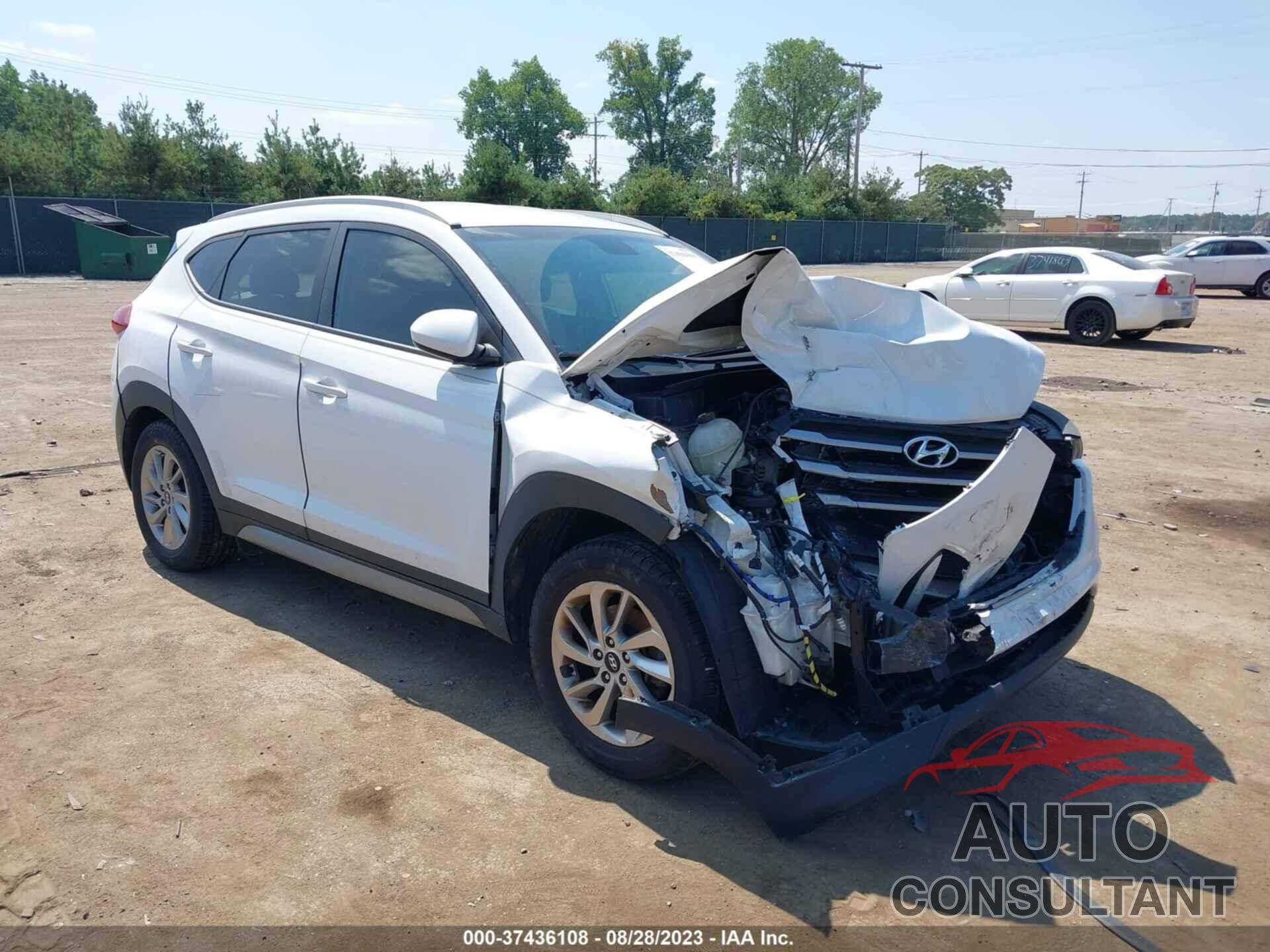 HYUNDAI TUCSON 2017 - KM8J3CA43HU289647