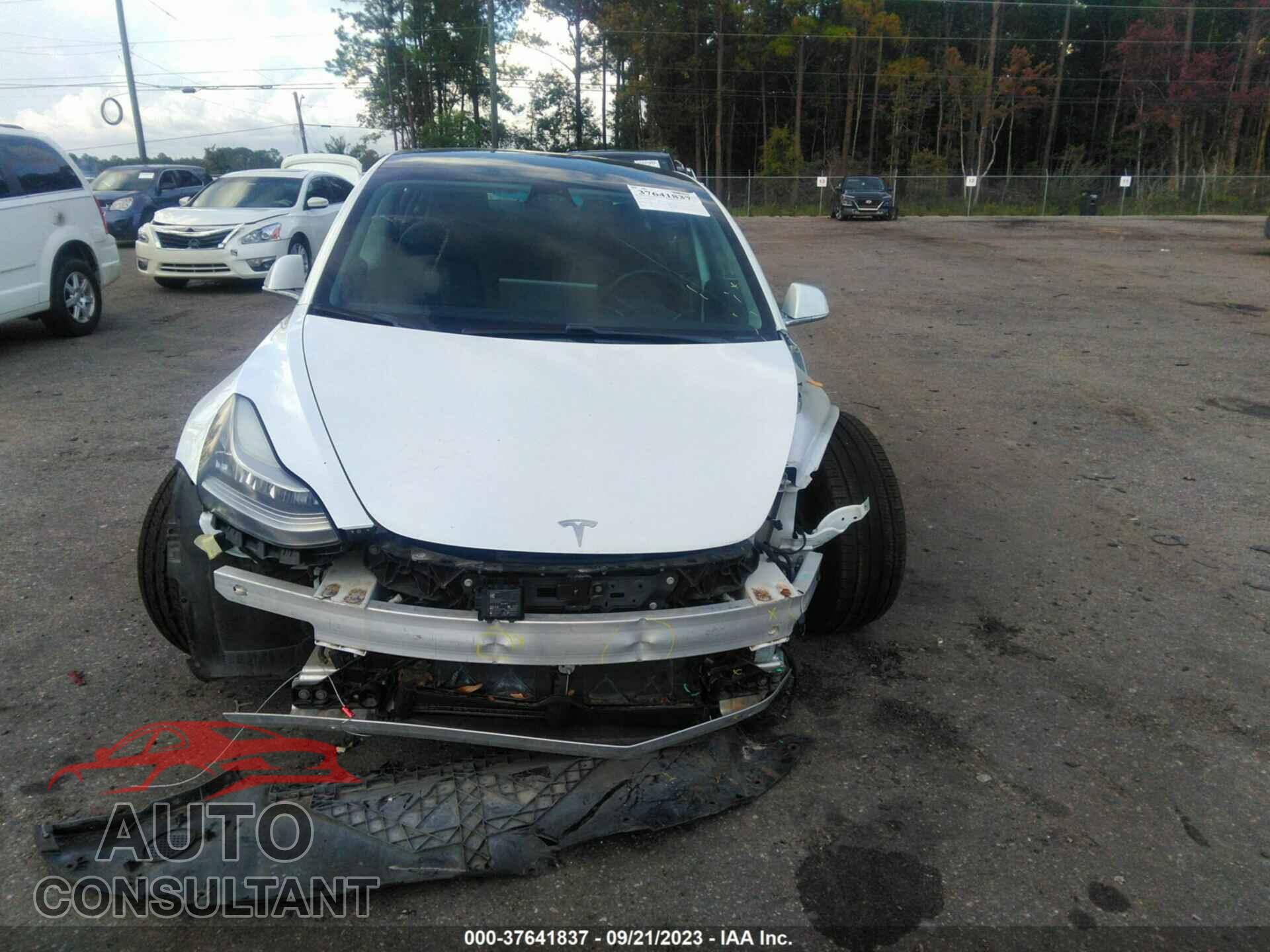 TESLA MODEL 3 2019 - 5YJ3E1EA0KF424806