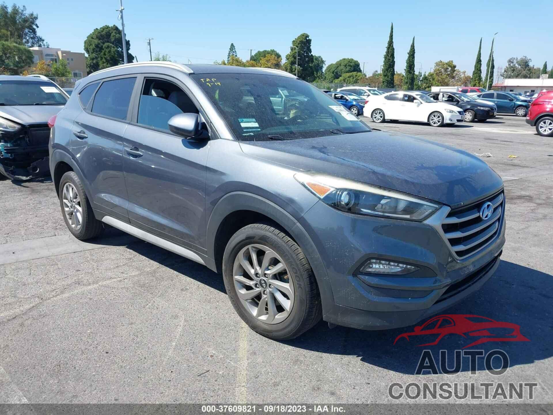 HYUNDAI TUCSON 2017 - KM8J33A47HU487387