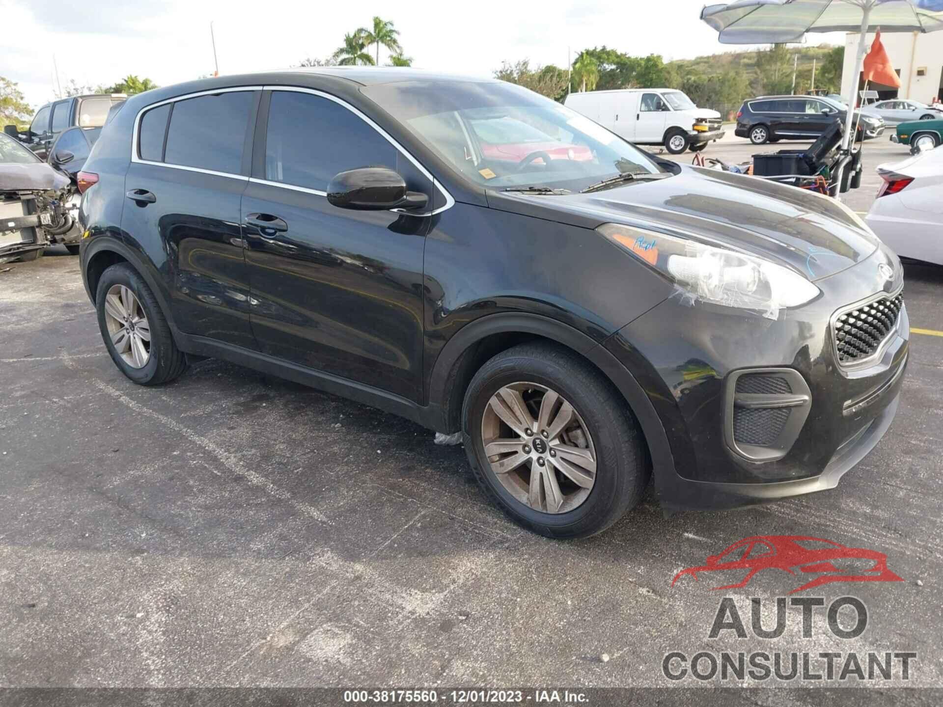 KIA SPORTAGE 2019 - KNDPM3ACXK7511691