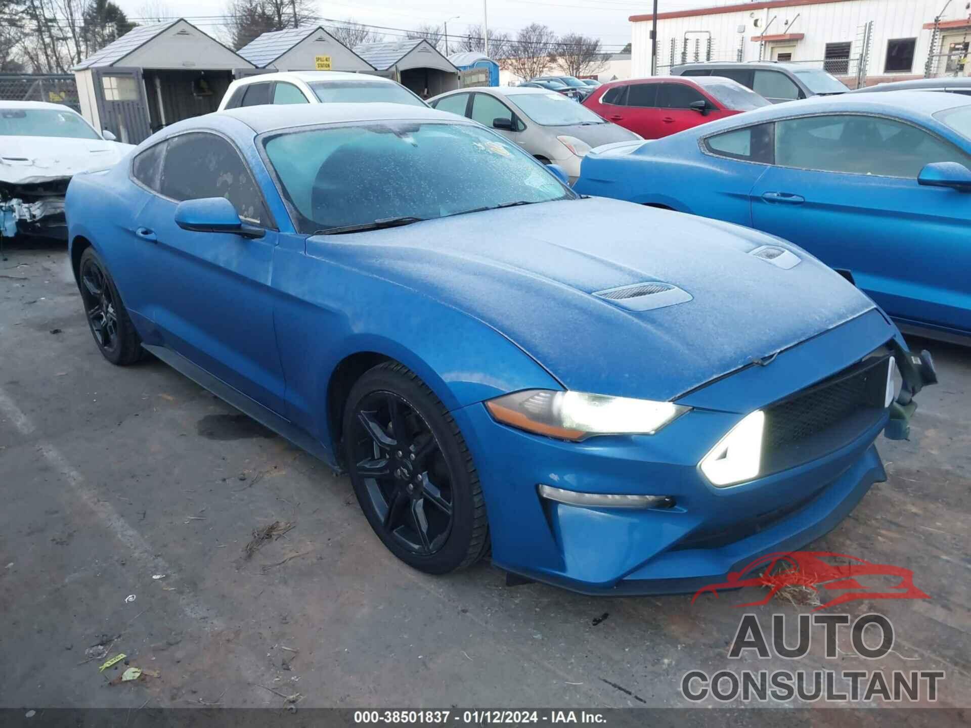 FORD MUSTANG 2019 - 1FA6P8TH5K5203757