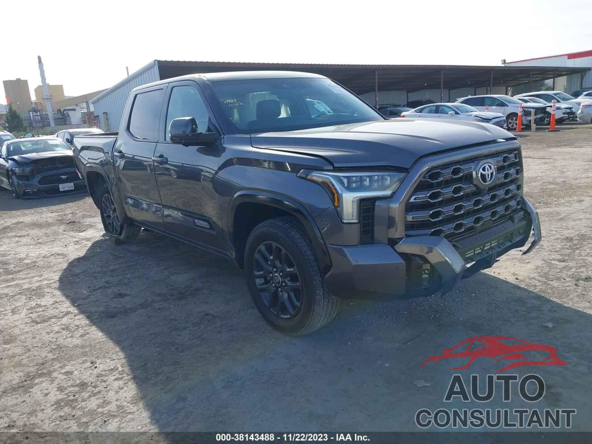 TOYOTA TUNDRA 2023 - 5TFNA5DB0PX079151