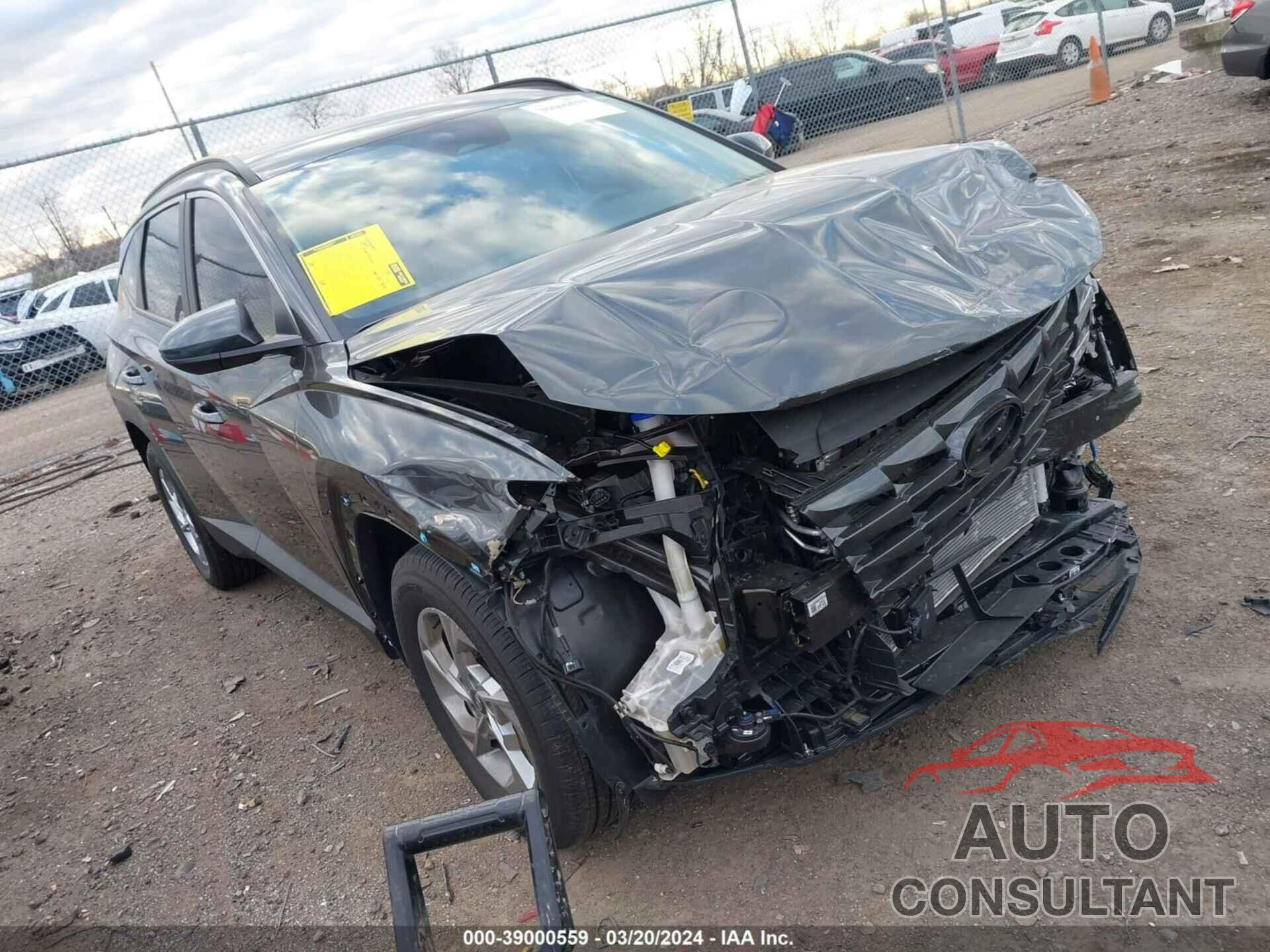 HYUNDAI TUCSON 2024 - 5NMJBCDE7RH313436