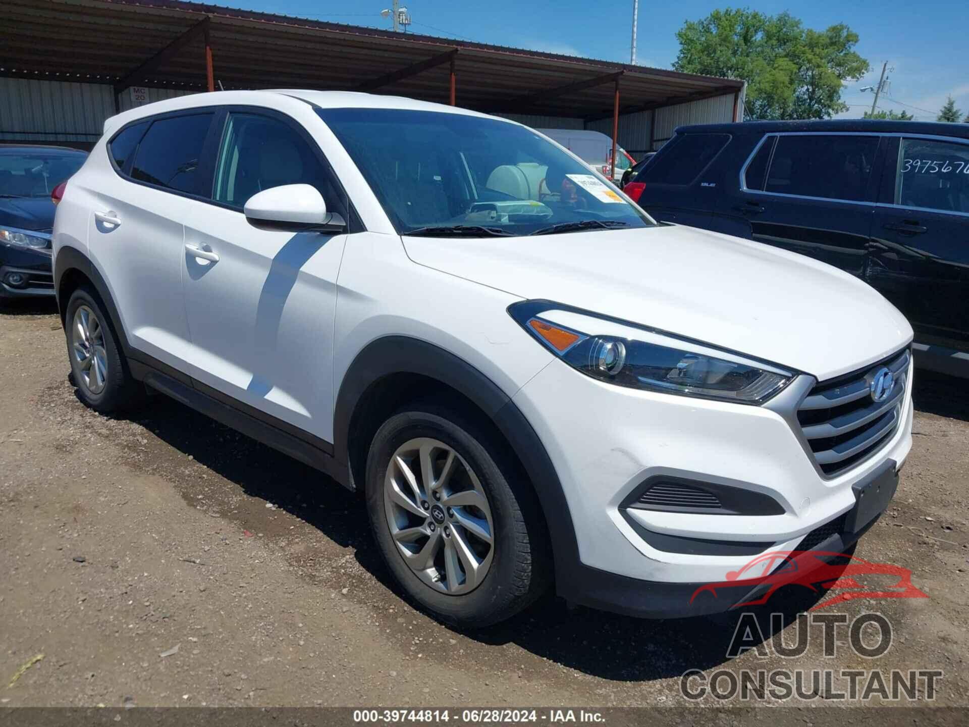 HYUNDAI TUCSON 2018 - KM8J23A48JU825372