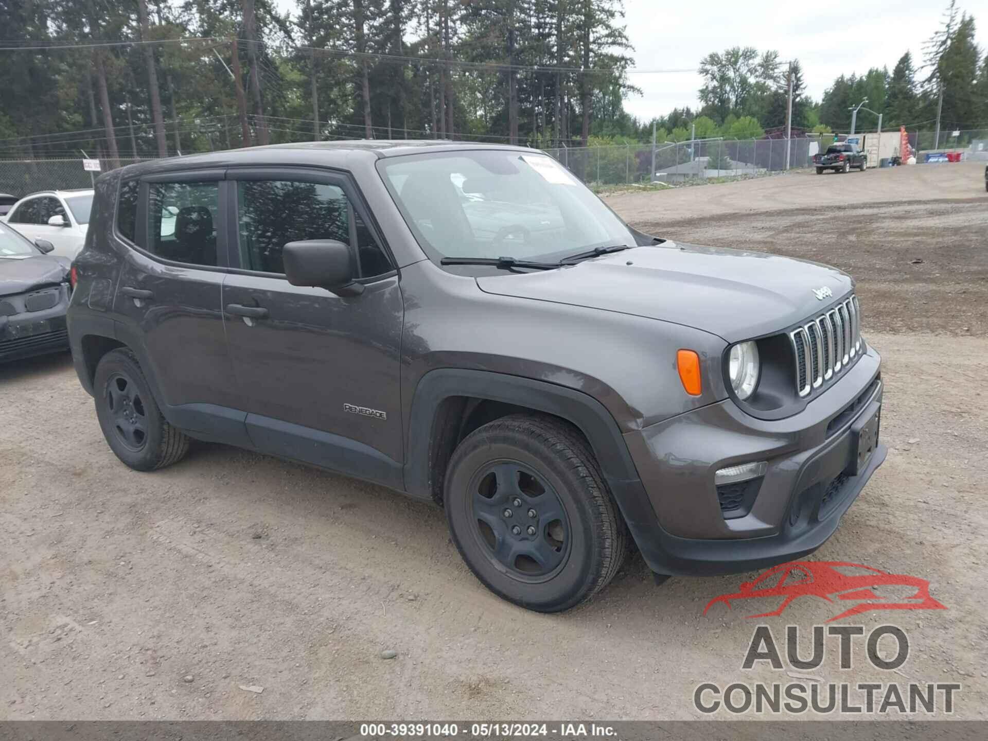 JEEP RENEGADE 2019 - ZACNJAAB5KPK13433