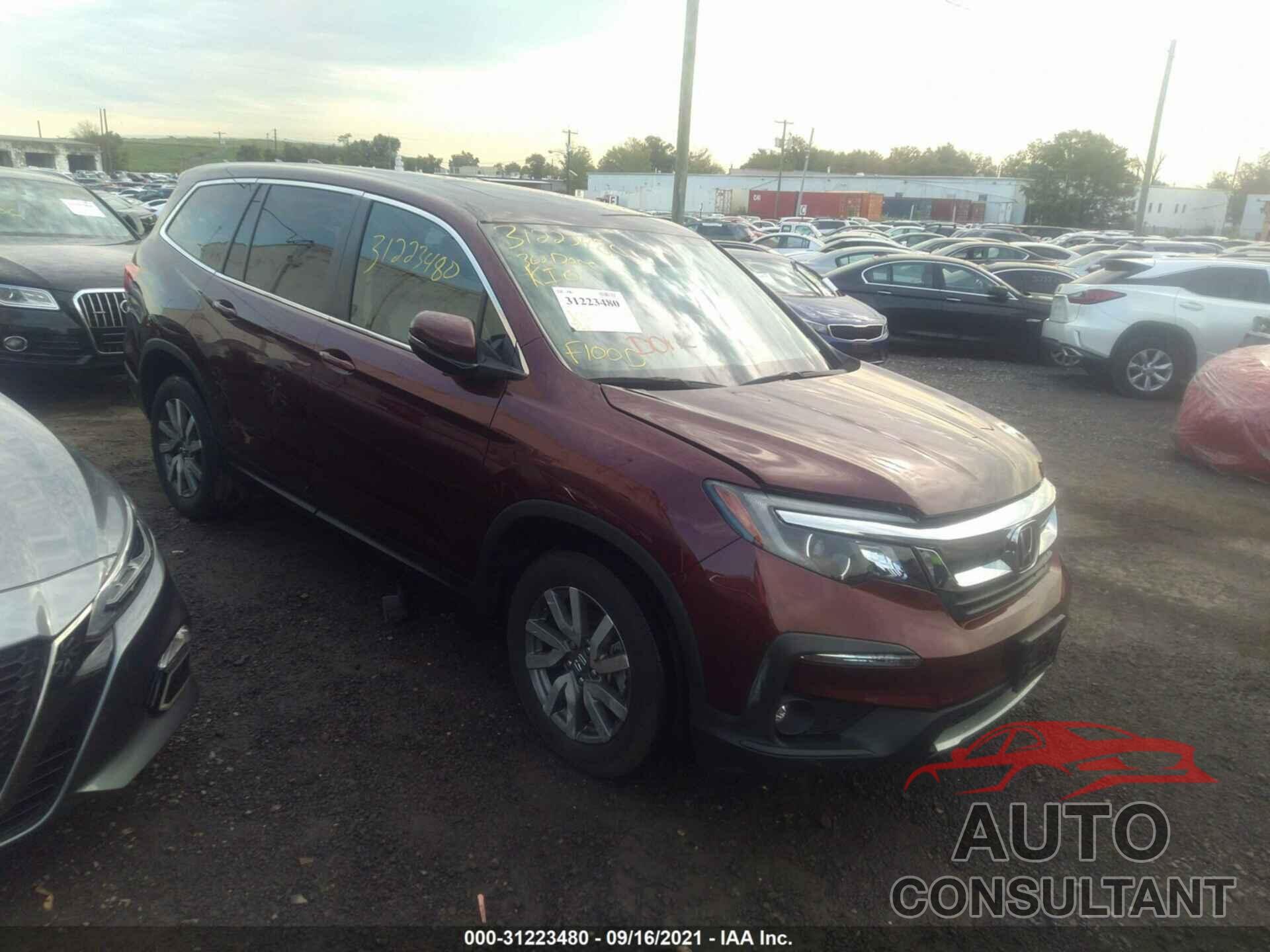 HONDA PILOT 2019 - 5FNYF6H50KB051457