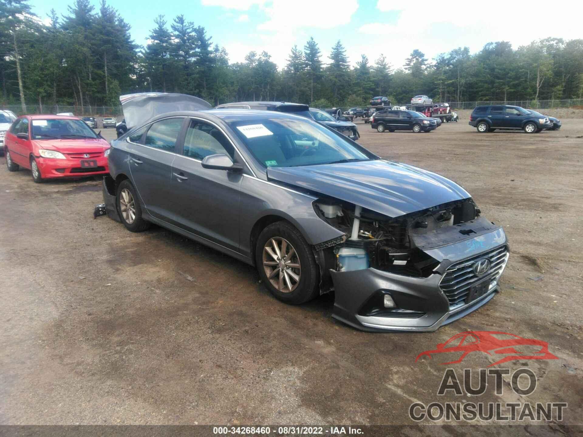 HYUNDAI SONATA 2019 - 5NPE24AF1KH780414