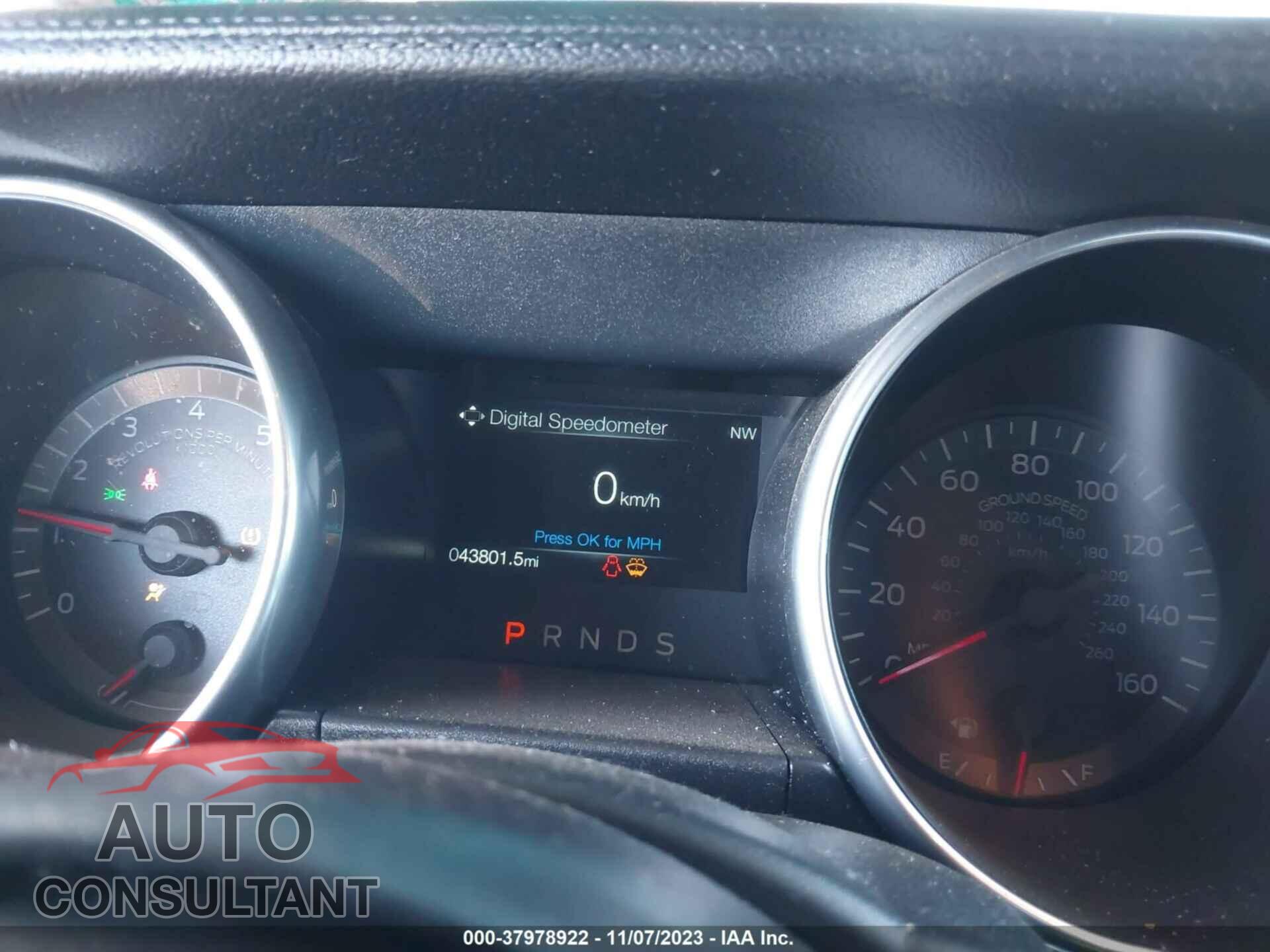 FORD MUSTANG 2019 - 1FA6P8TH7K5193216