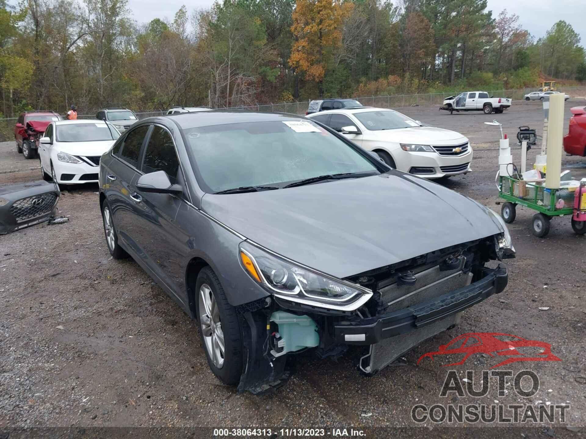 HYUNDAI SONATA 2019 - 5NPE34AF8KH752090