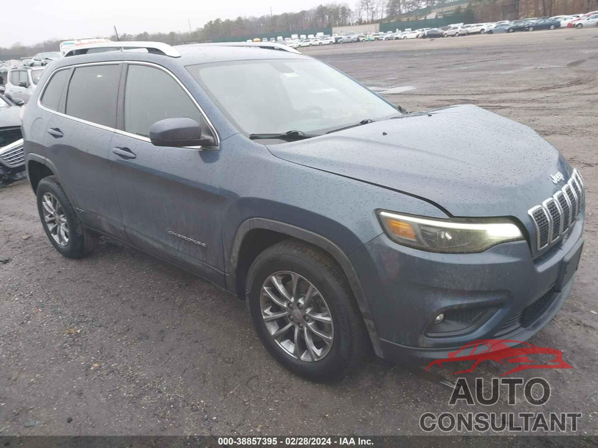 JEEP CHEROKEE 2019 - 1C4PJMLB3KD485794