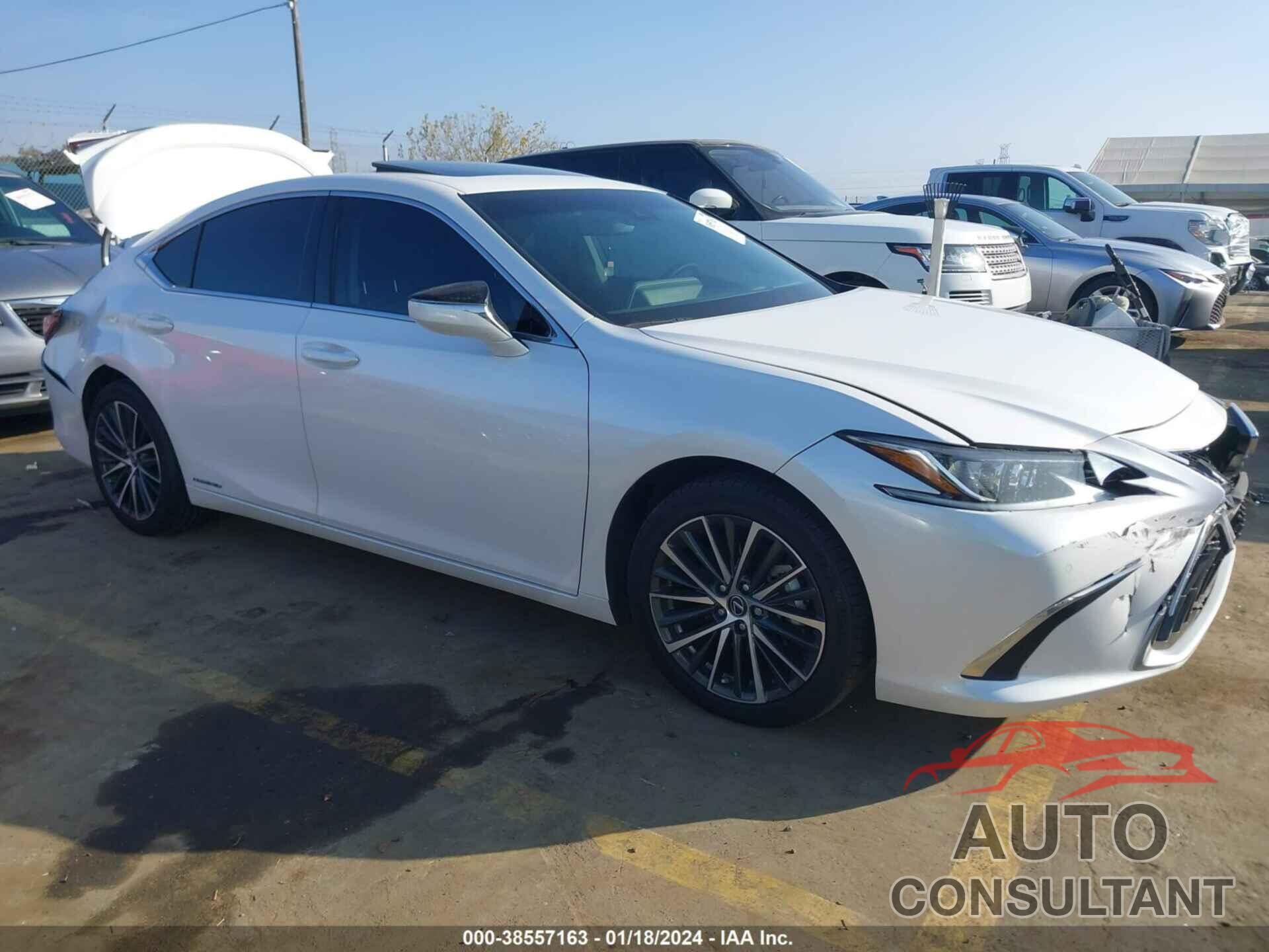 LEXUS ES 300H 2022 - 58ADA1C16NU018550