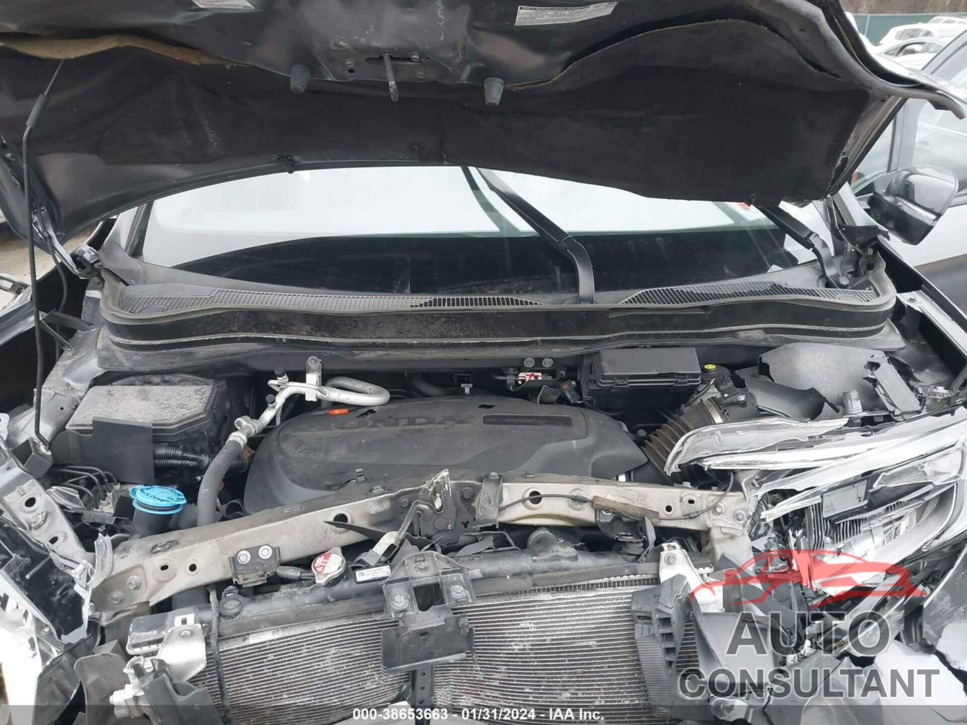 HONDA PASSPORT 2019 - 5FNYF8H07KB014874