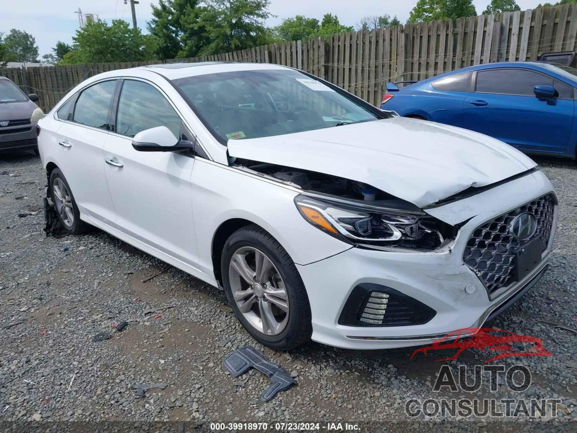 HYUNDAI SONATA 2019 - 5NPE34AF9KH750624