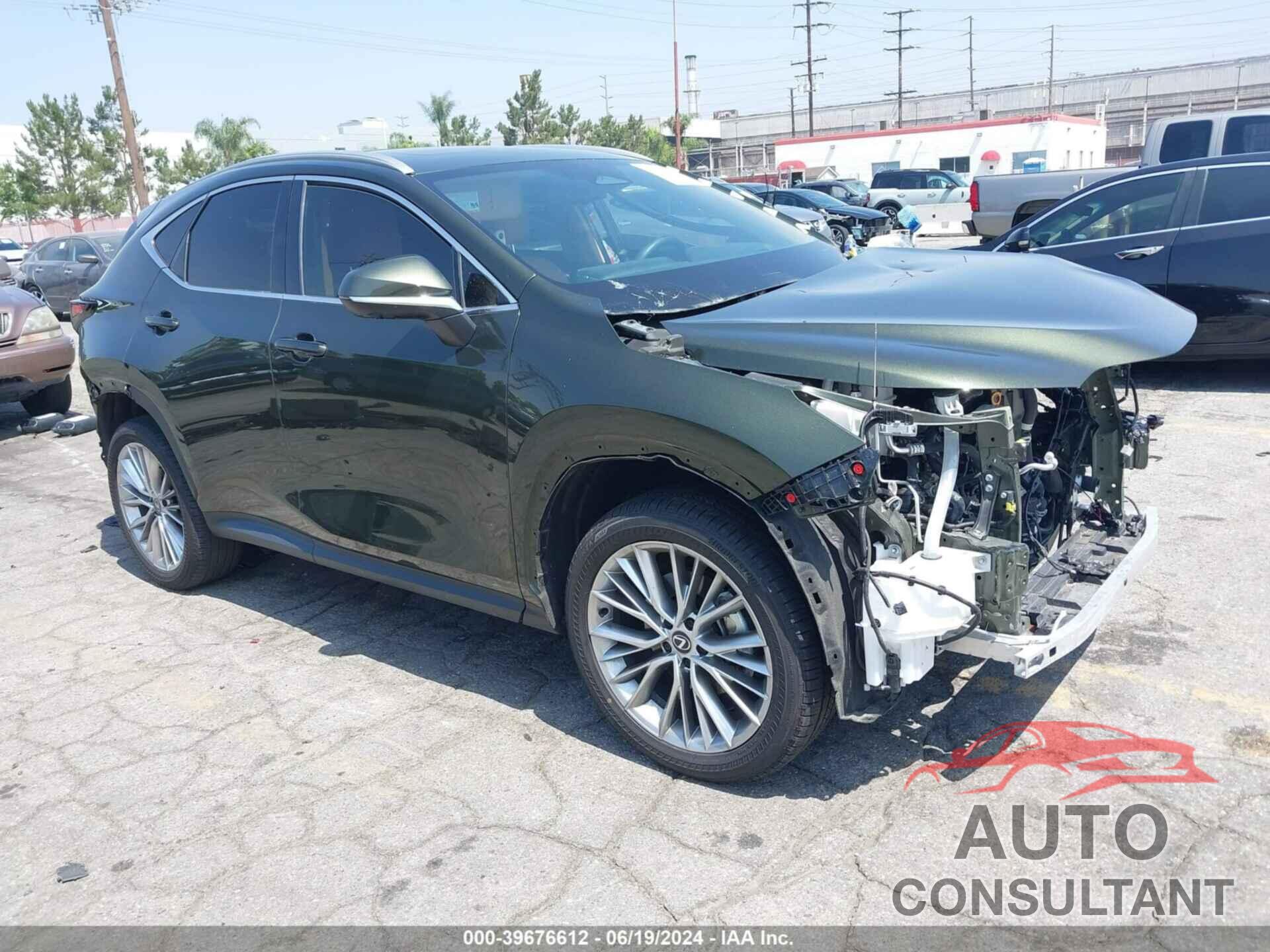 LEXUS NX 2024 - 2T2HGCEZ5RC033839