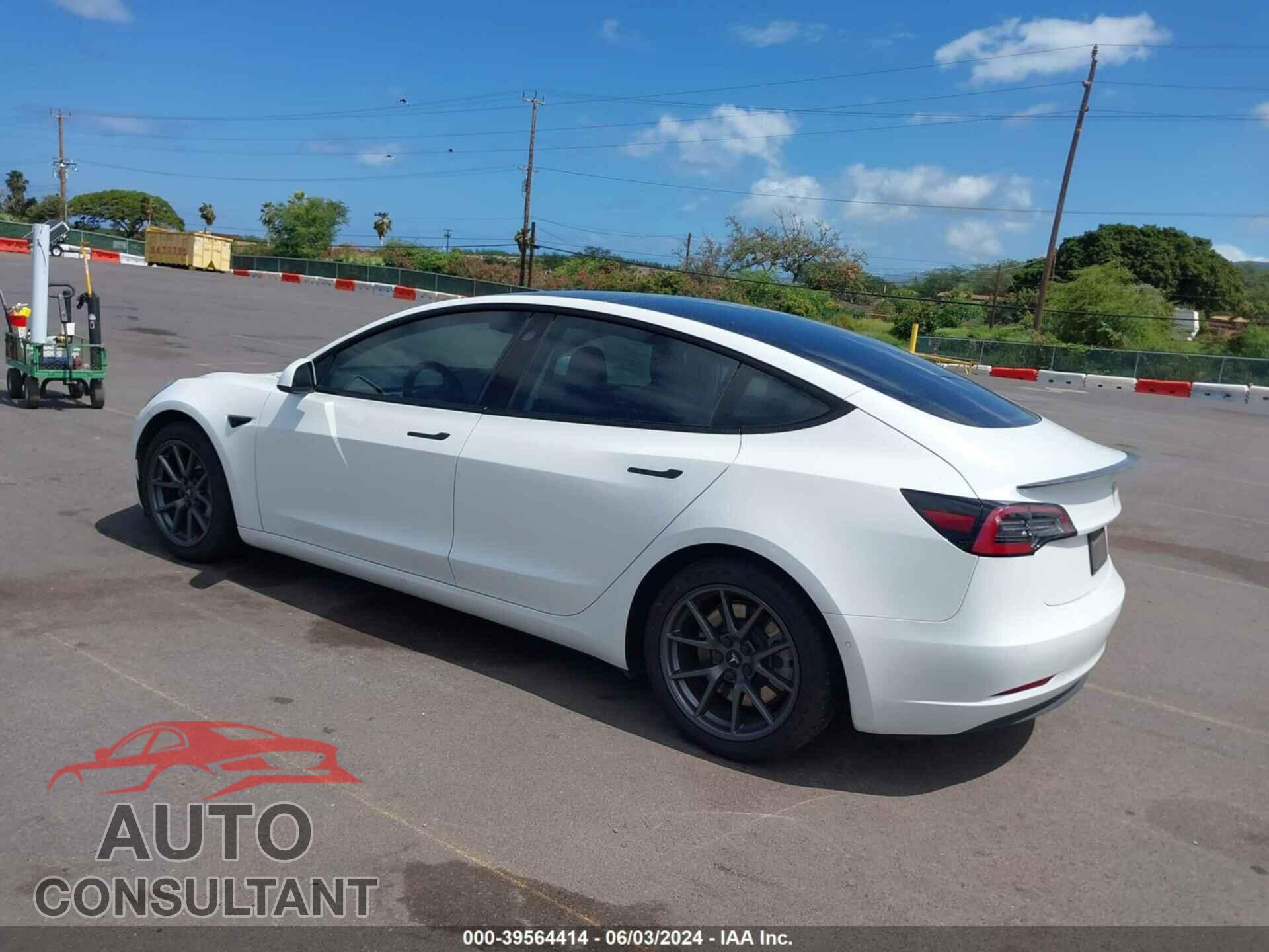 TESLA MODEL 3 2021 - 5YJ3E1EA2MF981896