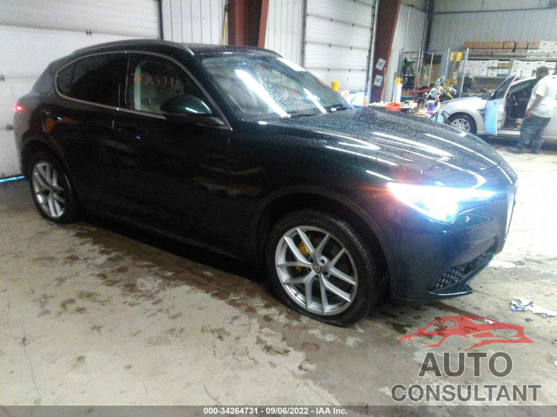 ALFA ROMEO STELVIO 2019 - ZASPAKBN1K7C30843