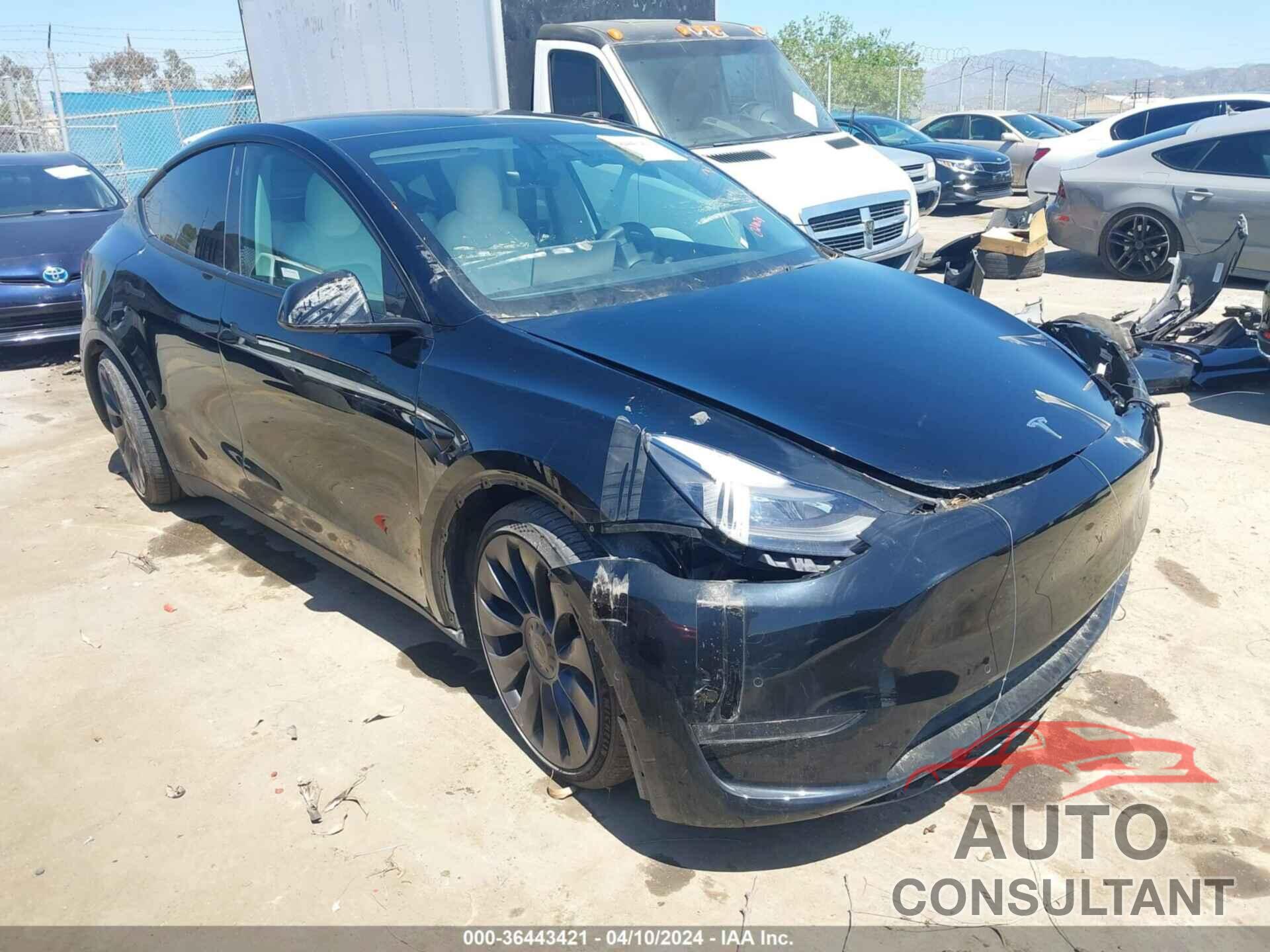 TESLA MODEL Y 2022 - 7SAYGDEF5NF346379