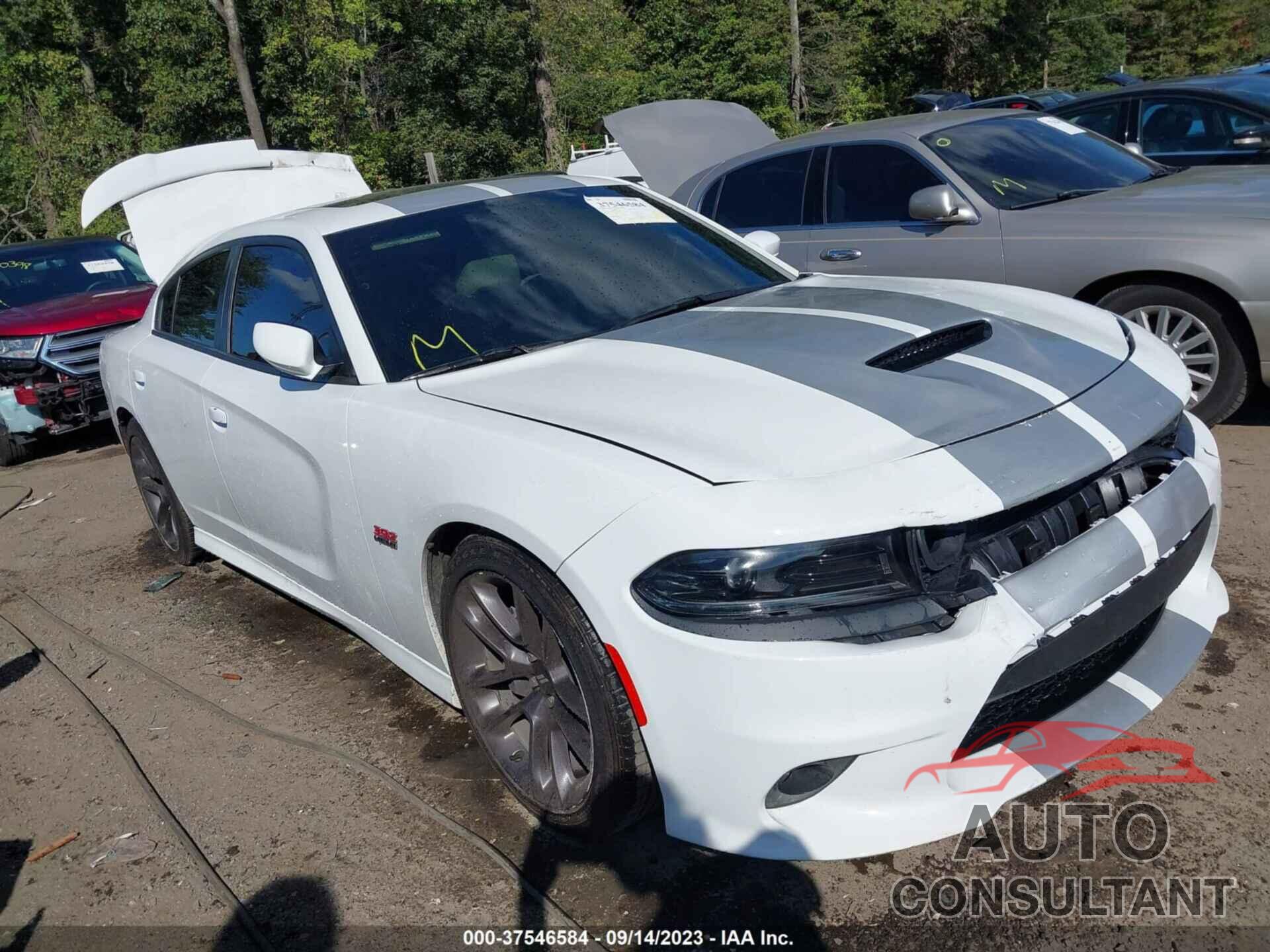 DODGE CHARGER 2022 - 2C3CDXGJ1NH130529
