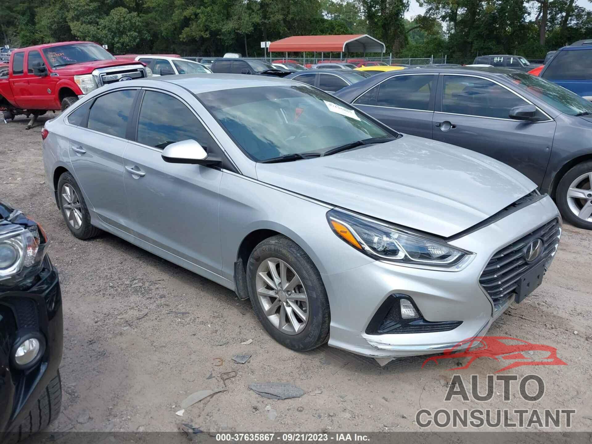 HYUNDAI SONATA 2019 - 5NPE24AFXKH810655