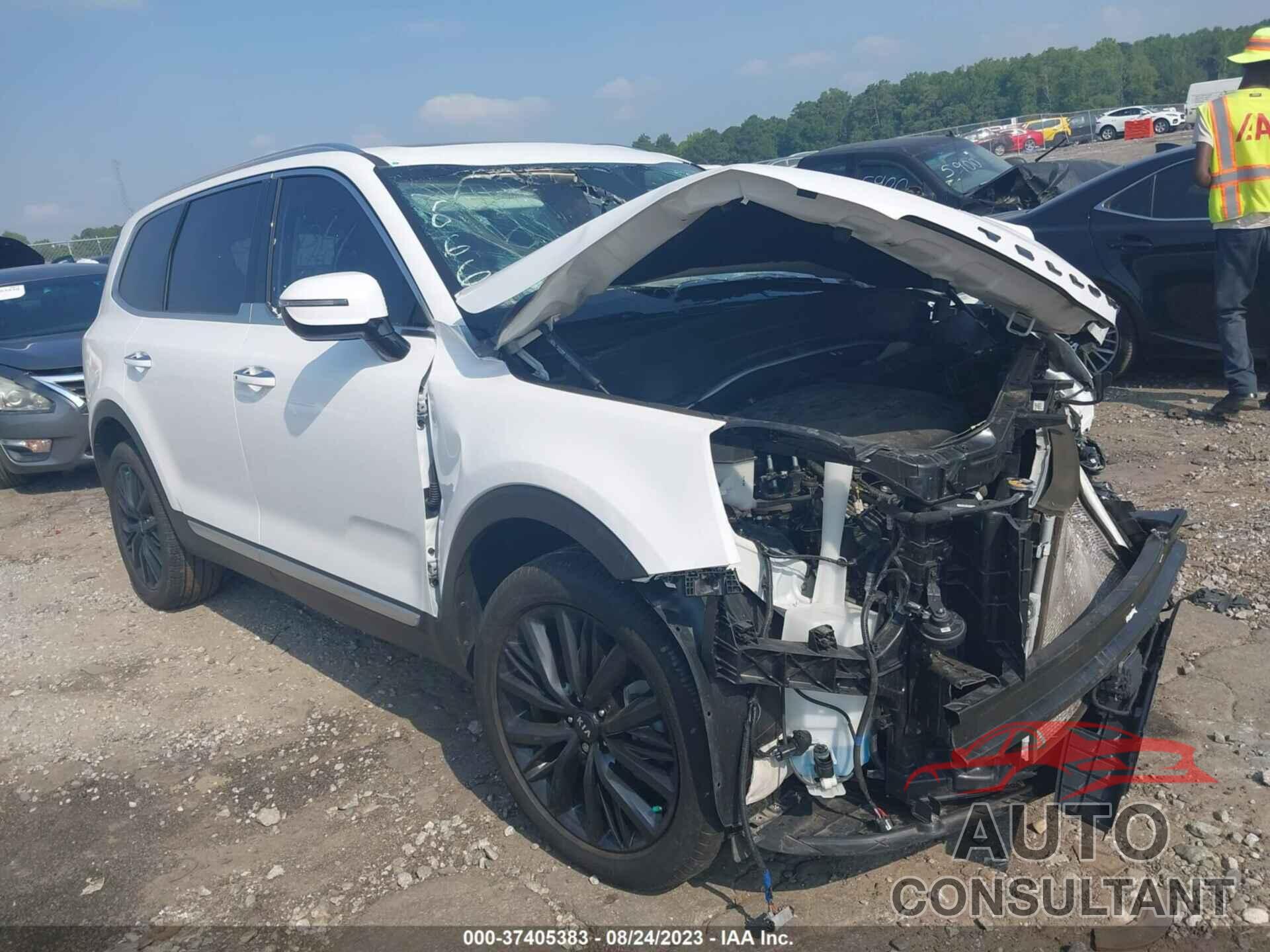 KIA TELLURIDE 2021 - 5XYP54HC5MG177066