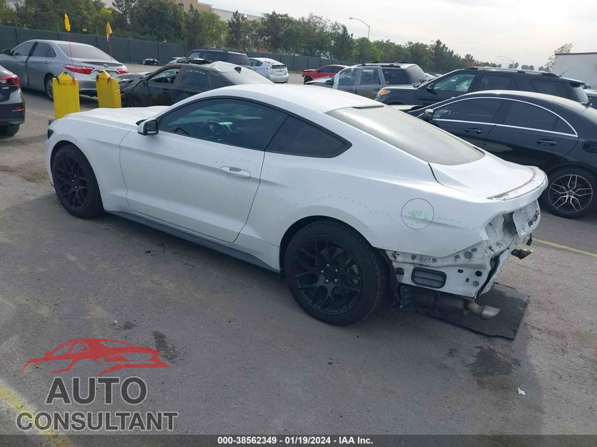 FORD MUSTANG 2016 - 1FA6P8TH4G5290395