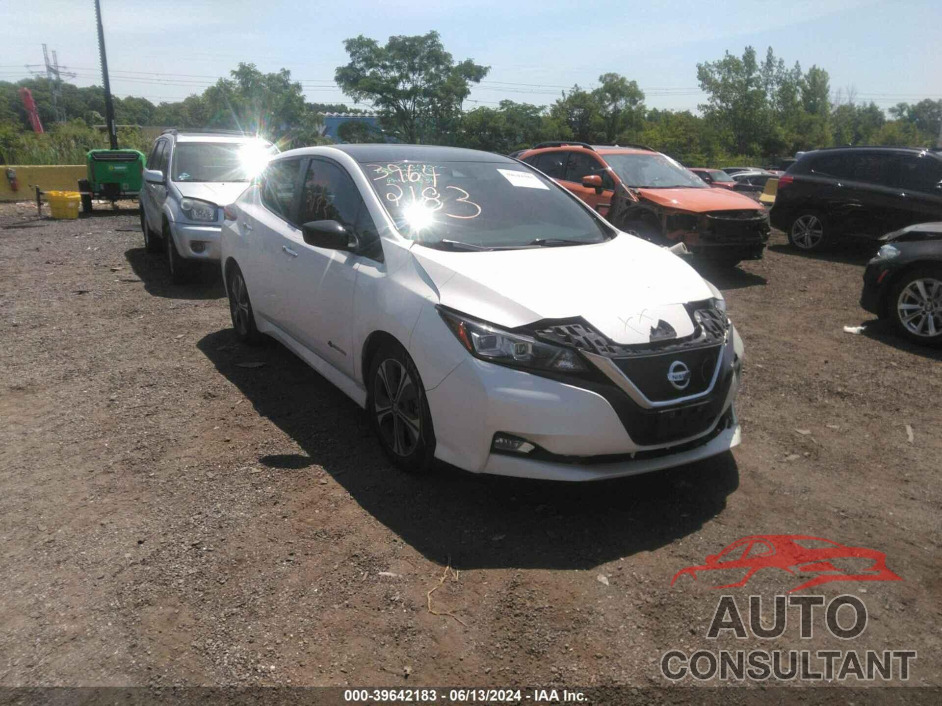 NISSAN LEAF 2019 - 1N4AZ1CP2KC305905