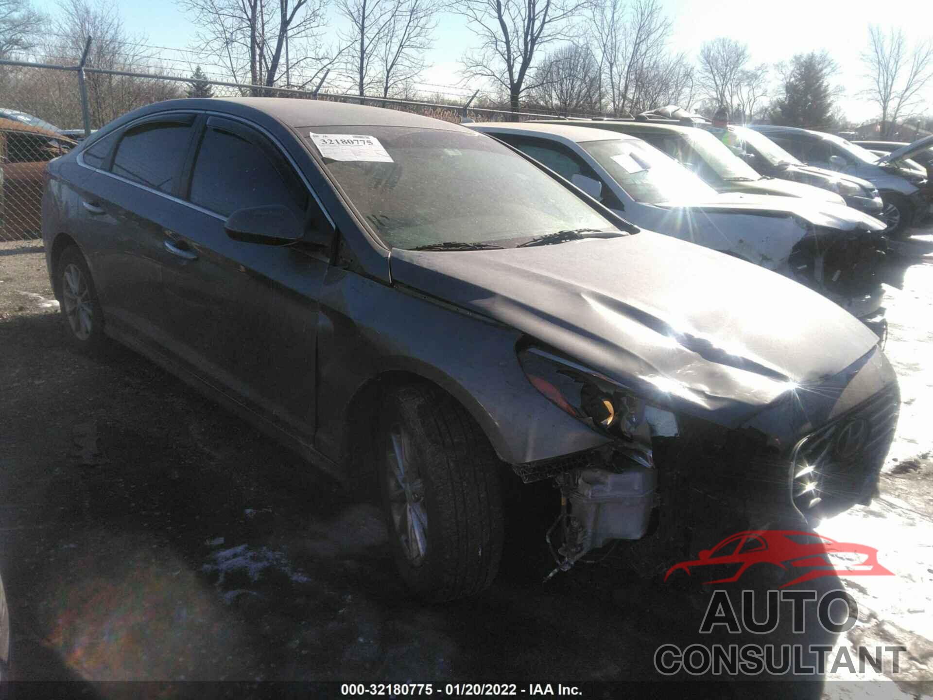 HYUNDAI SONATA 2019 - 5NPE24AF4KH760769