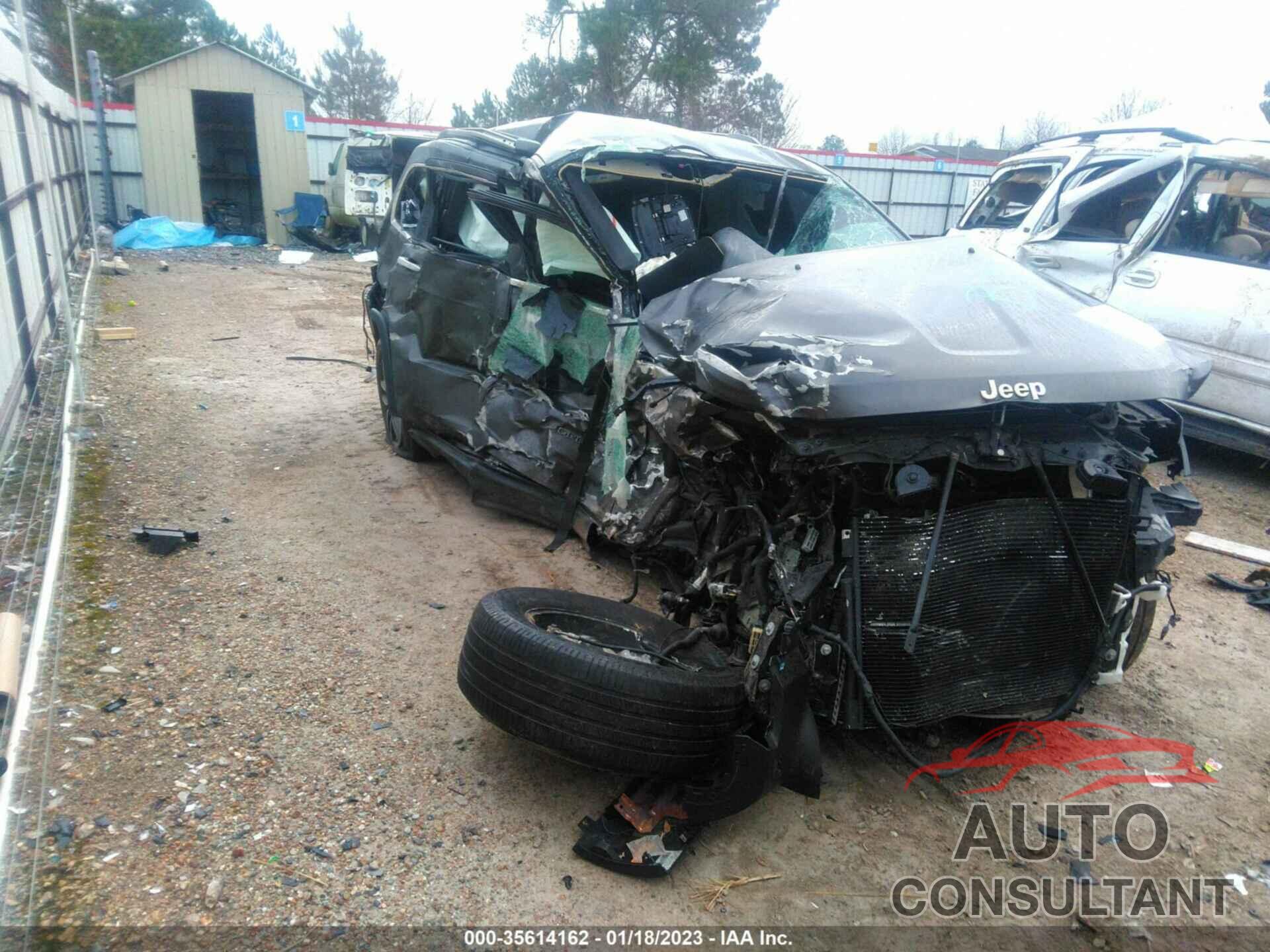 JEEP GRAND CHEROKEE 2019 - 1C4RJEBG8KC656430