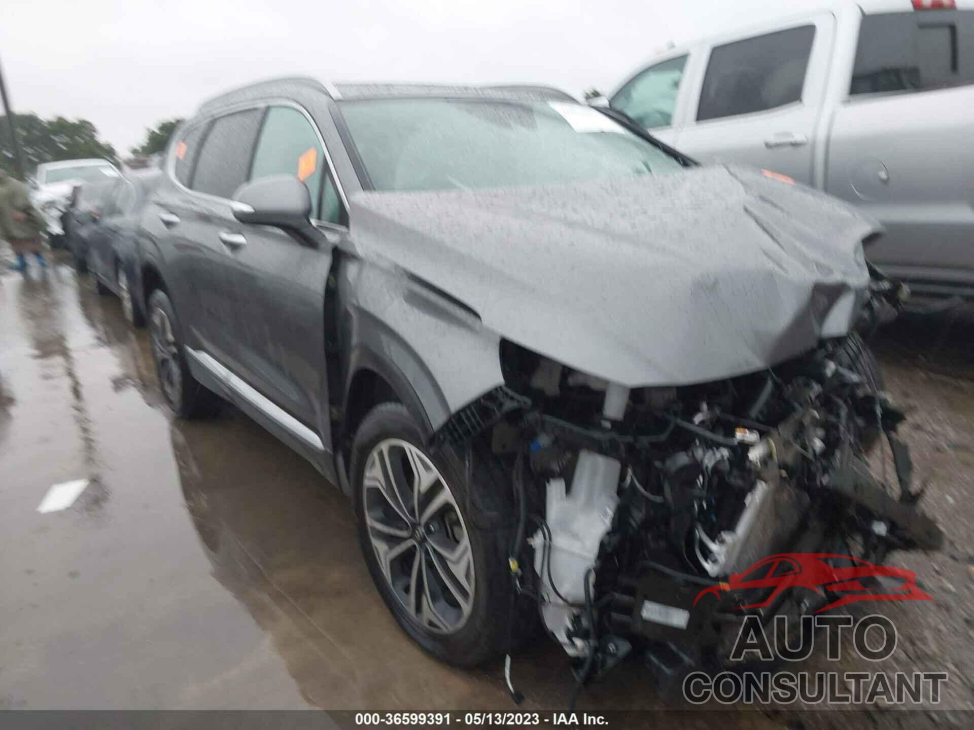 HYUNDAI SANTA FE 2019 - 5NMS5CAA5KH129082