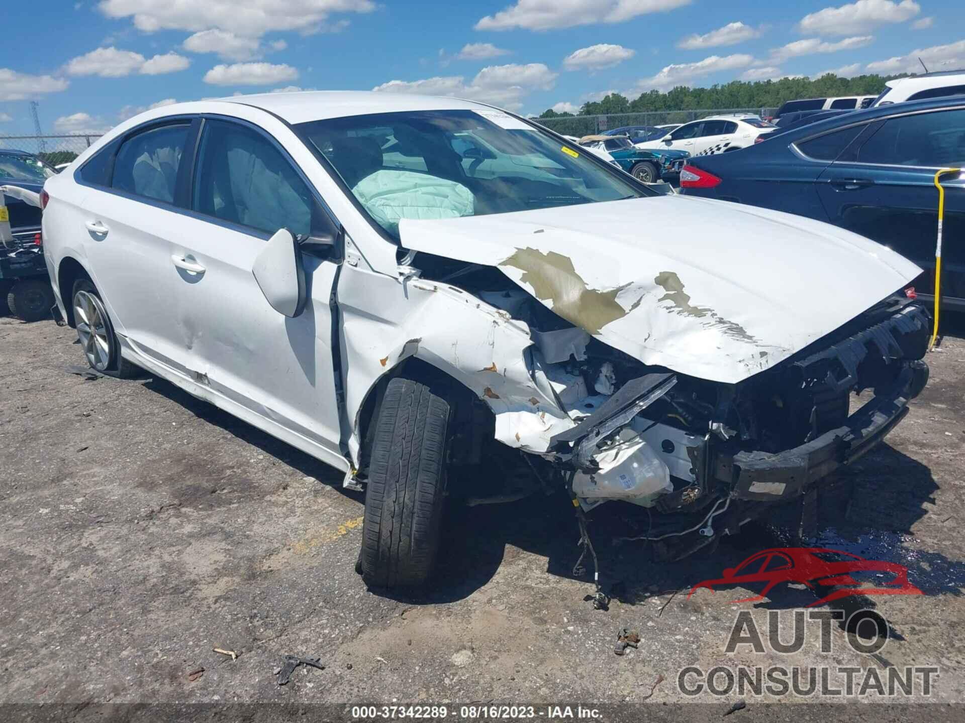 HYUNDAI SONATA 2019 - 5NPE24AF3KH736494