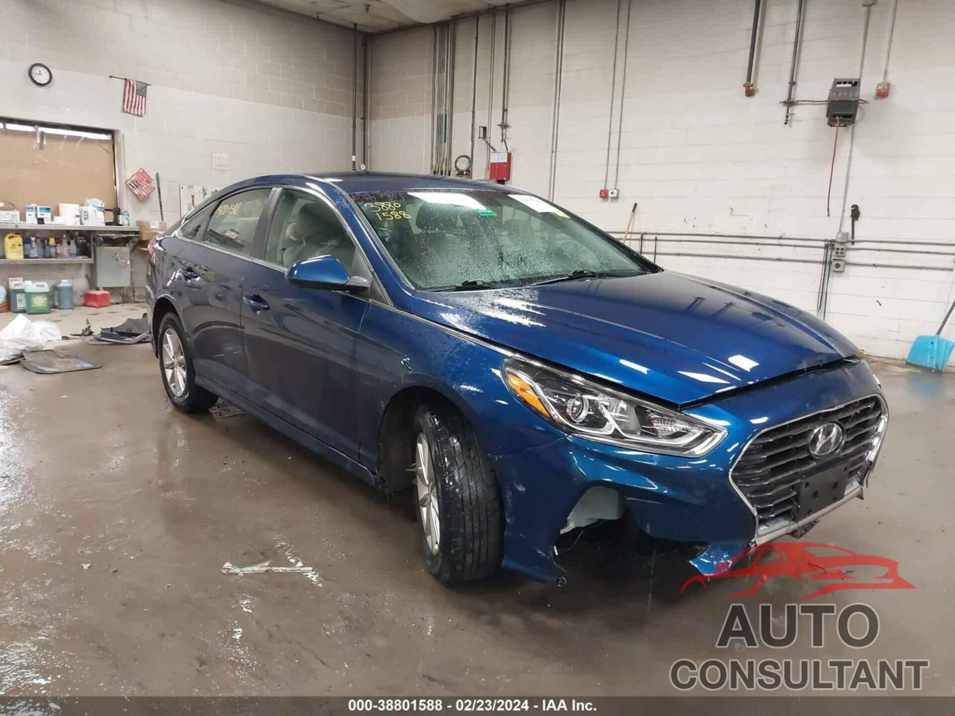 HYUNDAI SONATA 2019 - 5NPE24AF6KH800110