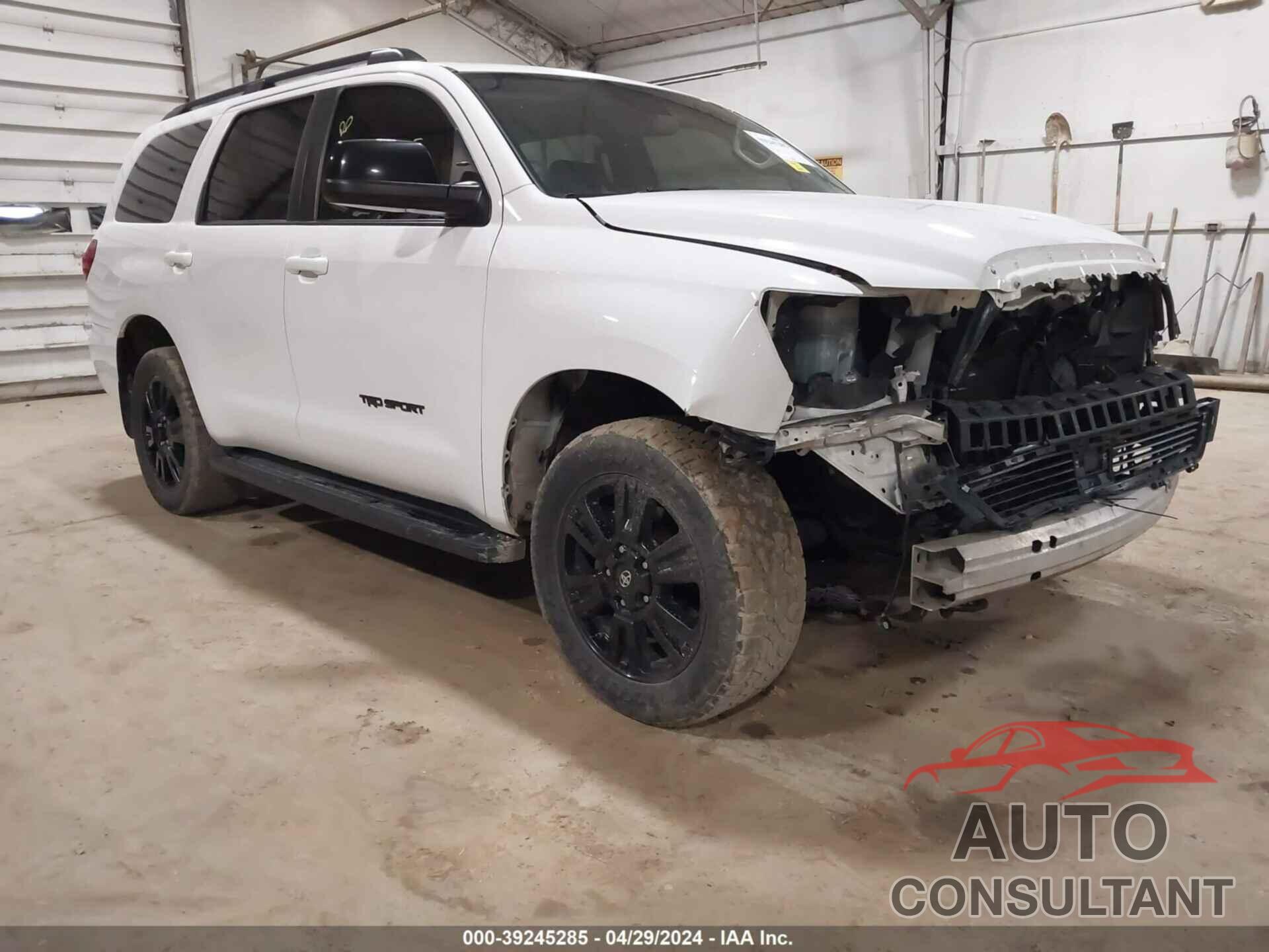 TOYOTA SEQUOIA 2019 - 5TDBY5G14KS174182
