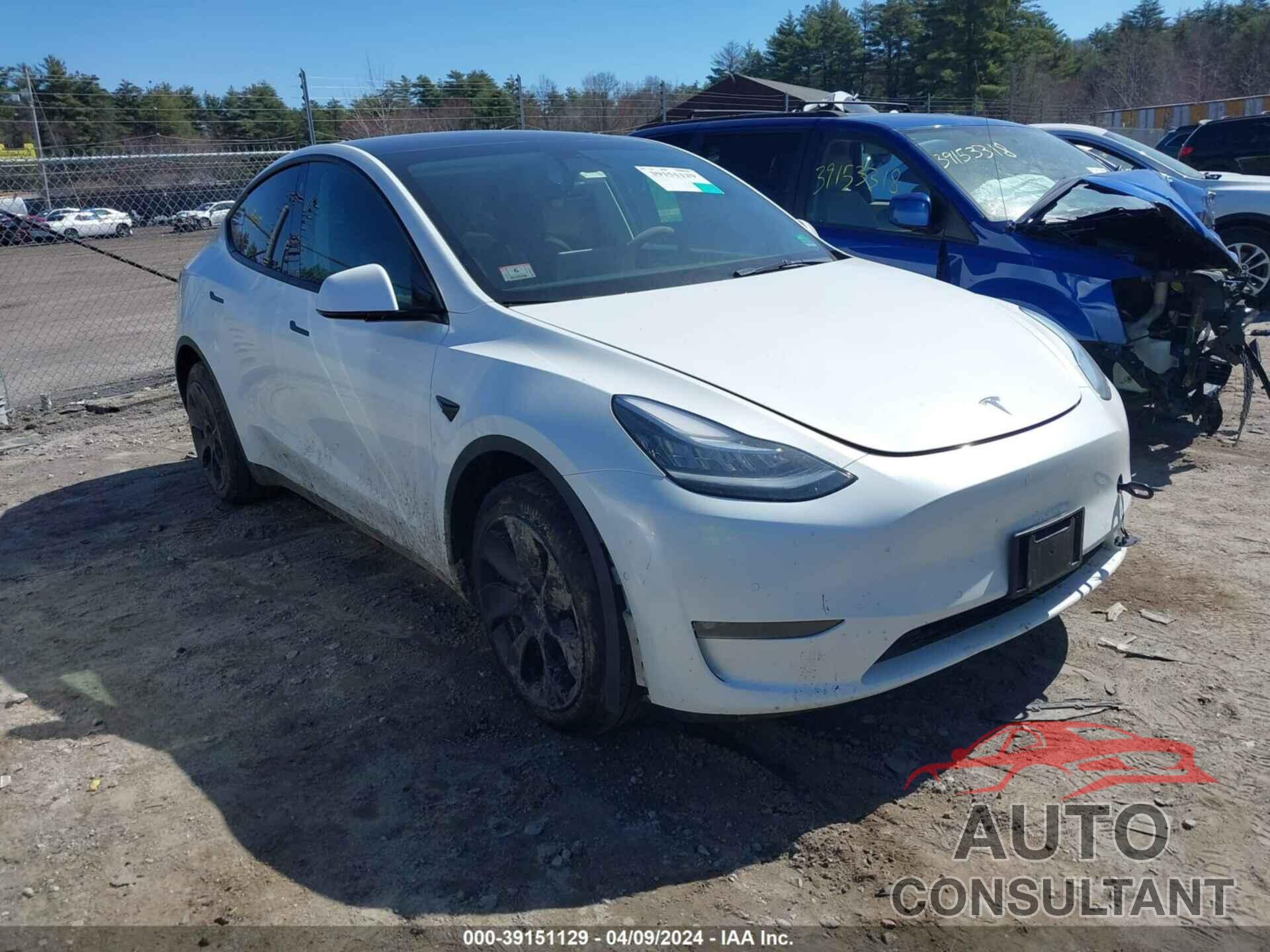 TESLA MODEL Y 2021 - 5YJYGDEE7MF194351