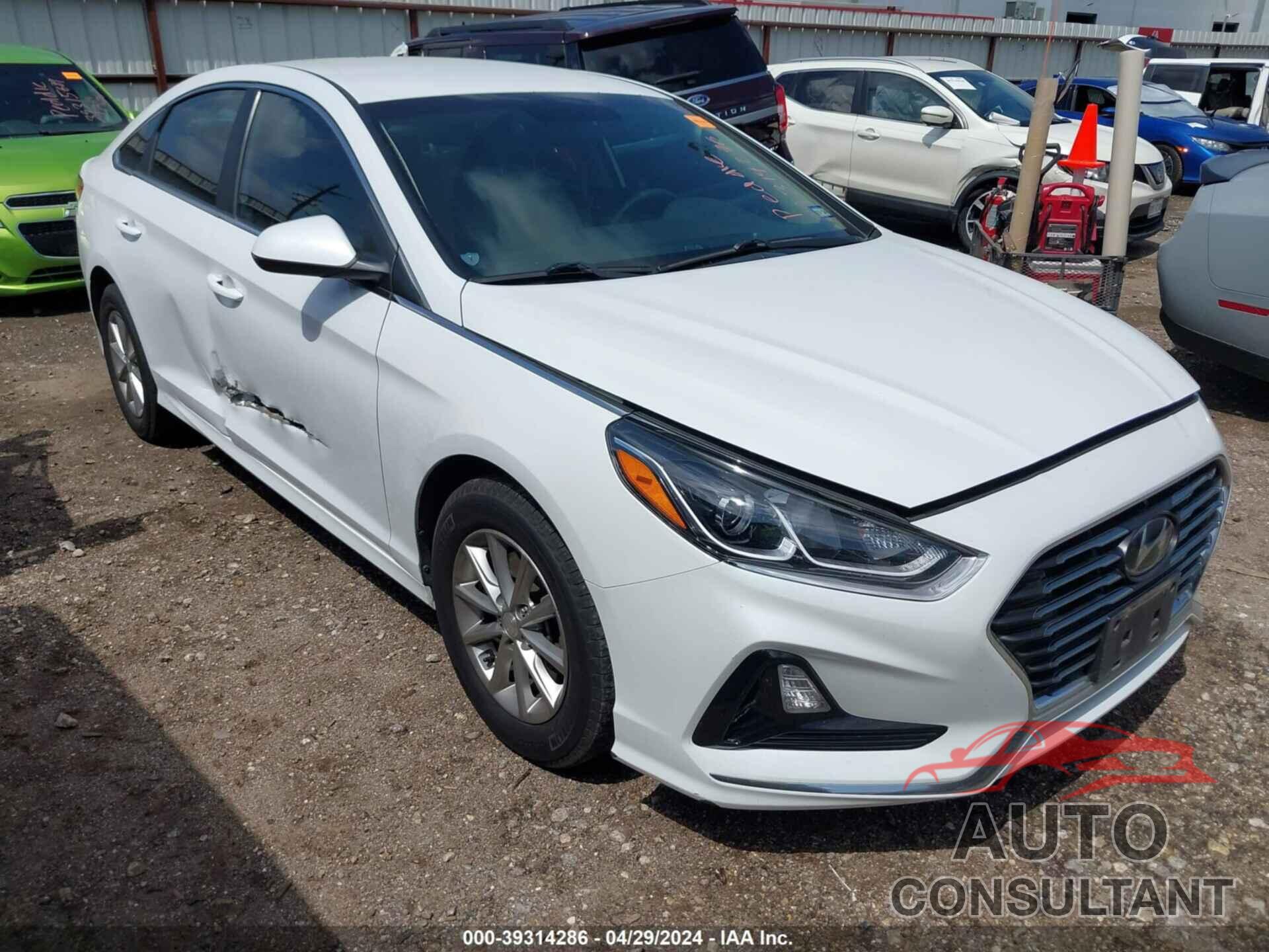 HYUNDAI SONATA 2019 - 5NPE24AFXKH772702