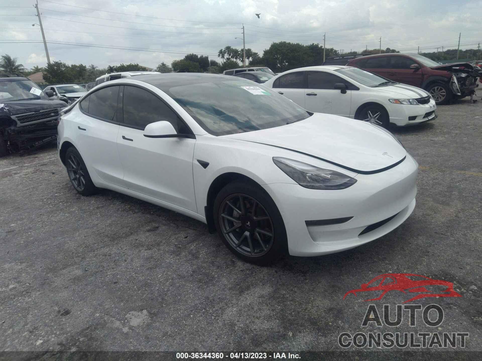 TESLA MODEL 3 2021 - 5YJ3E1EA1MF048295