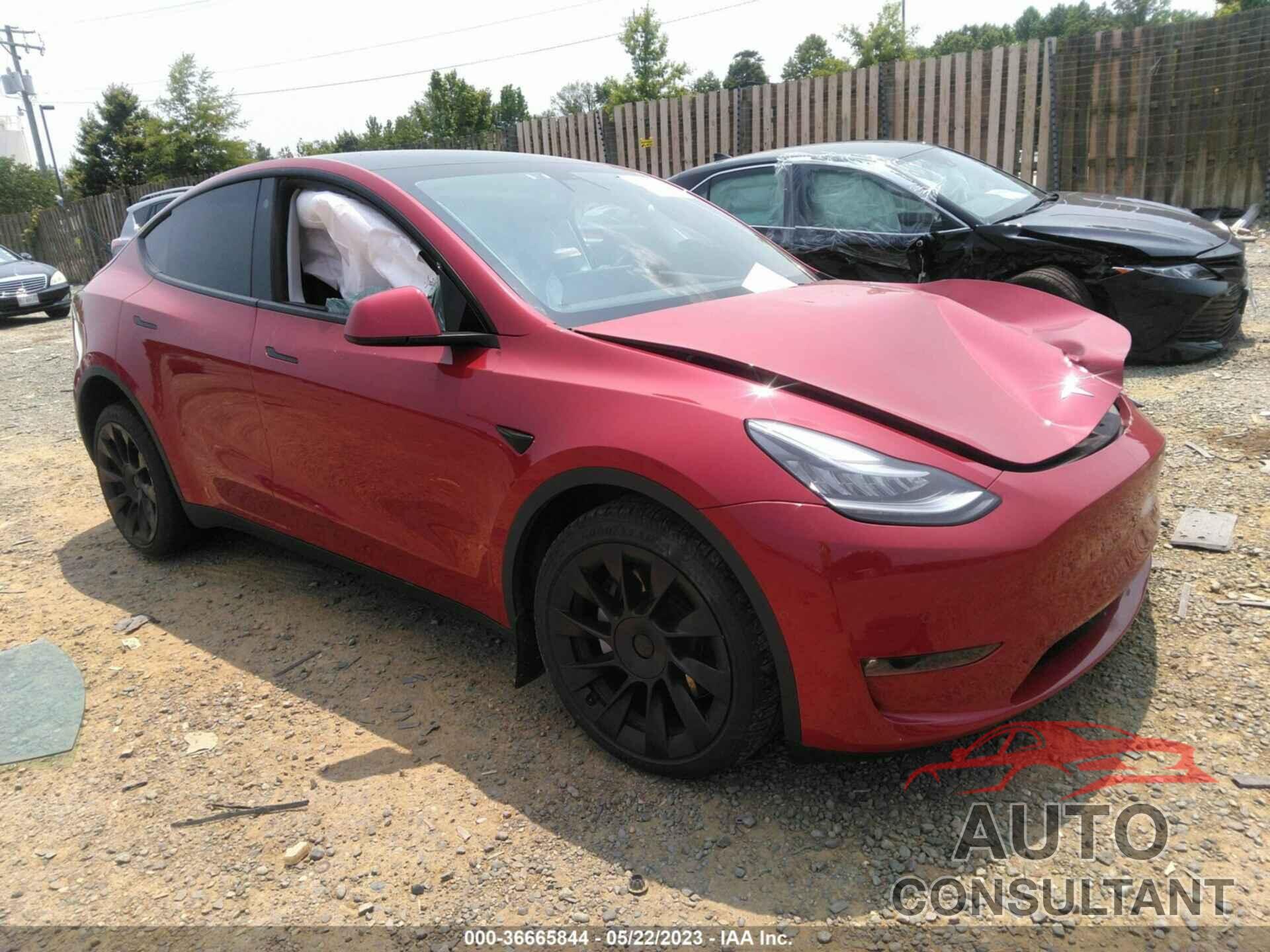 TESLA MODEL Y 2021 - 5YJYGDEE9MF111566