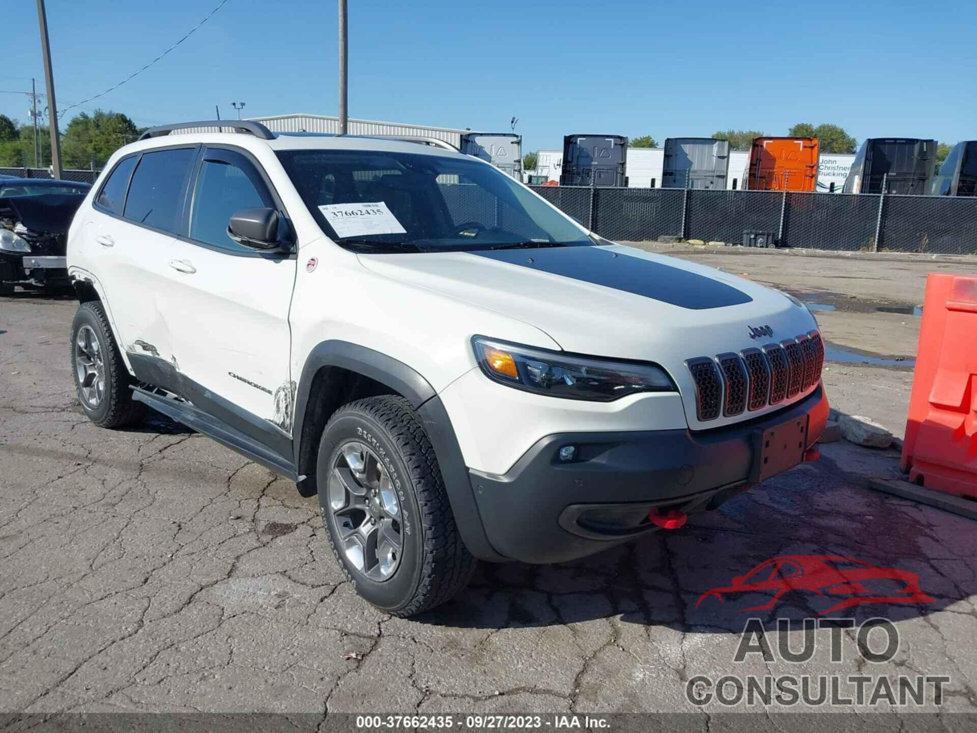 JEEP CHEROKEE 2019 - 1C4PJMBX5KD254845