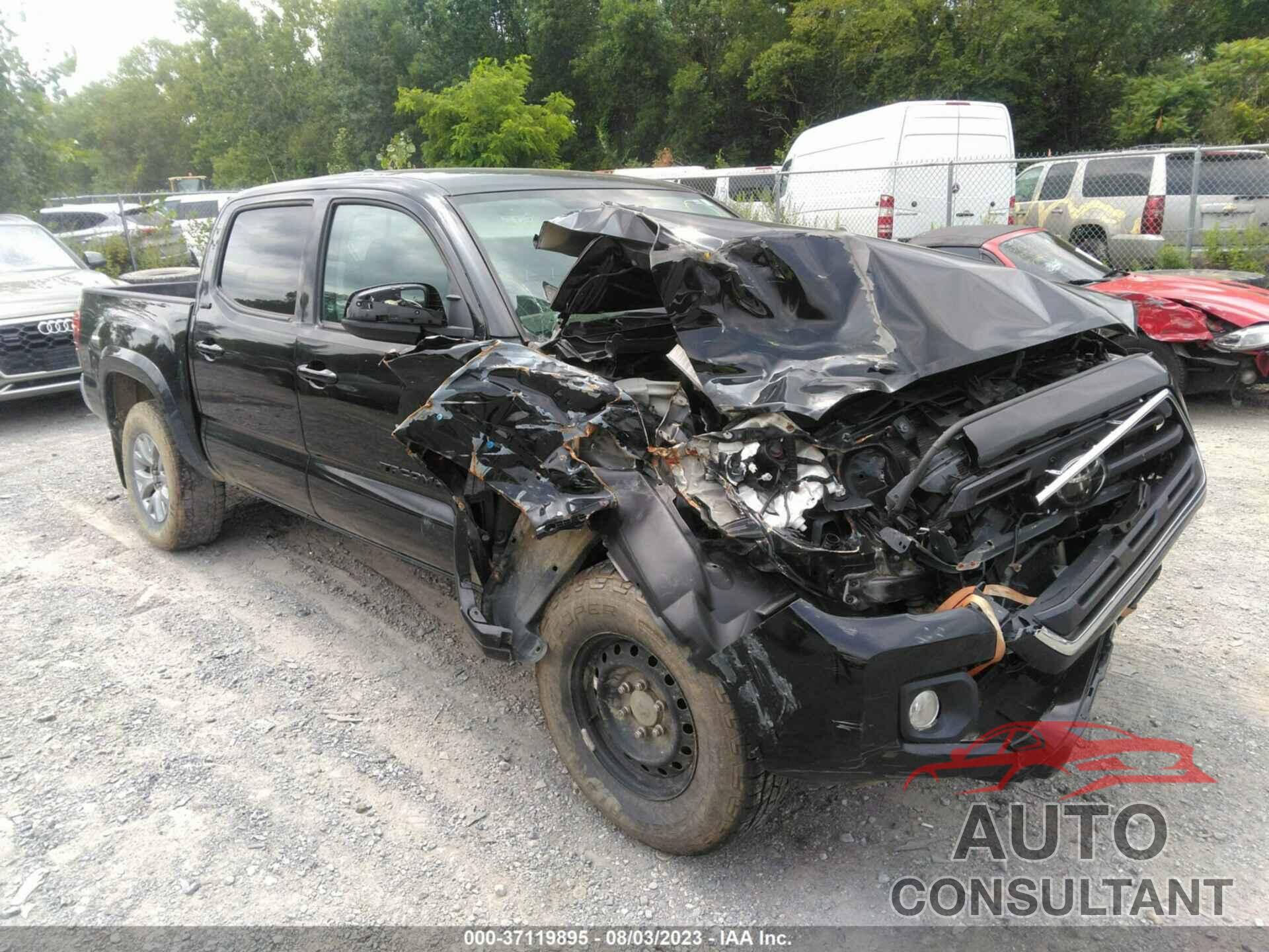 TOYOTA TACOMA 2019 - 3TMCZ5AN5KM280458