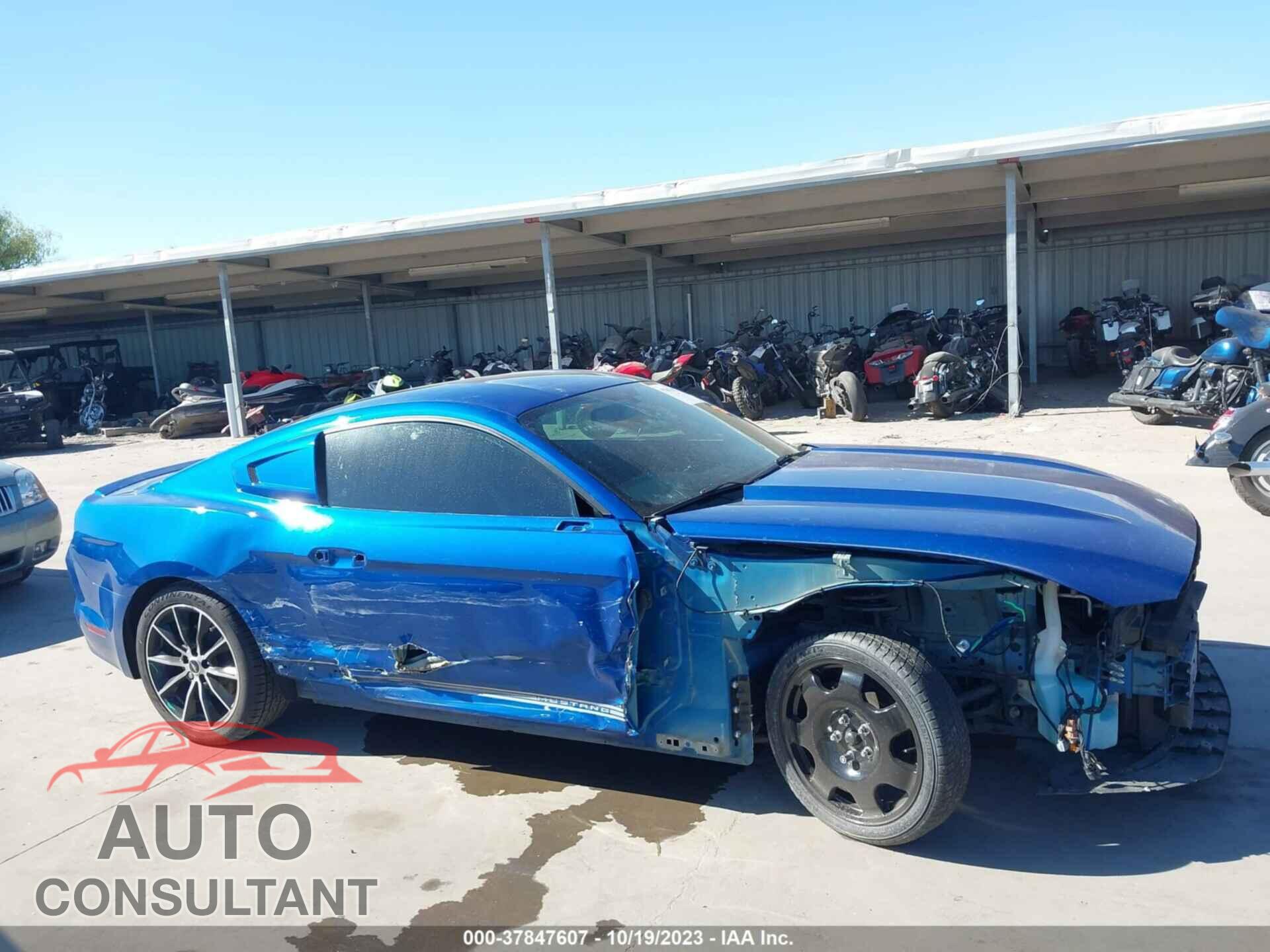 FORD MUSTANG 2017 - 1FA6P8TH1H5209483