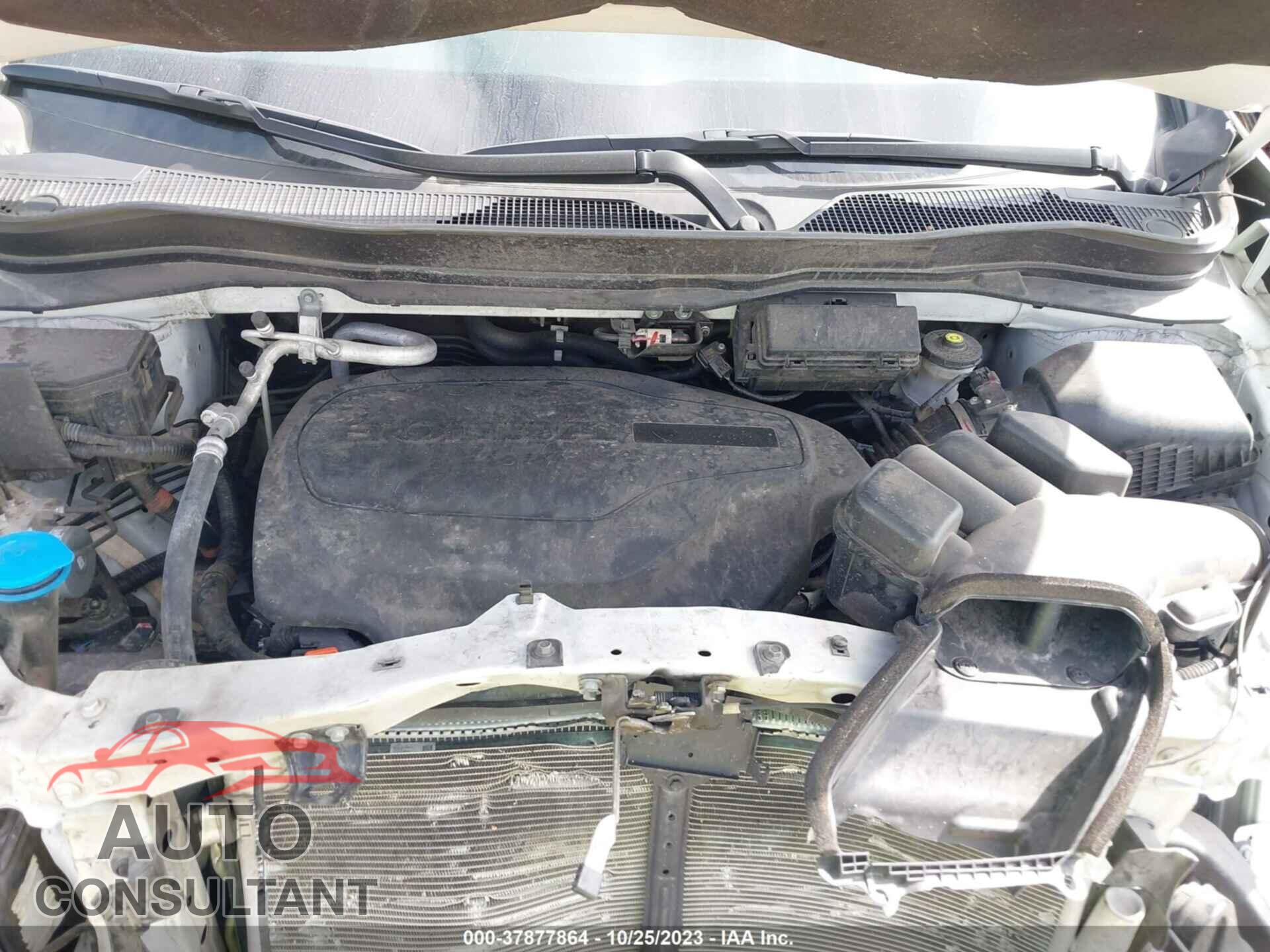 HONDA PILOT 2019 - 5FNYF5H98KB024519