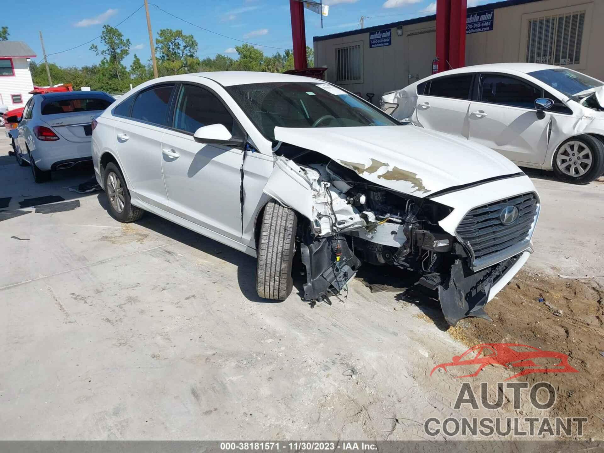 HYUNDAI SONATA 2019 - 5NPE24AF9KH796098