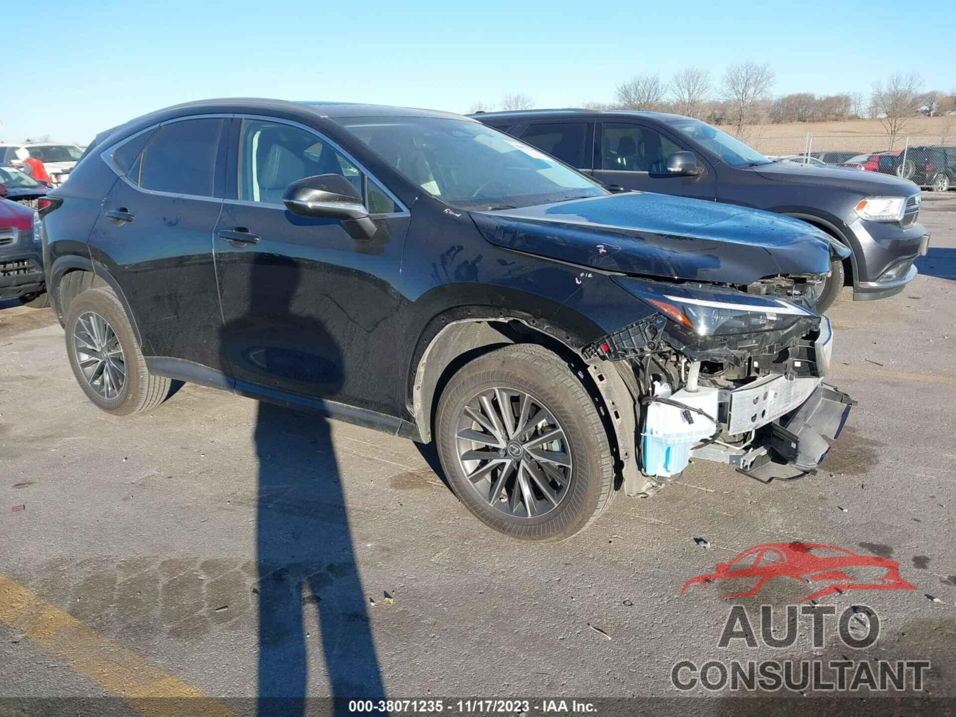 LEXUS NX 250 2022 - 2T2ADCAZ7NC001856