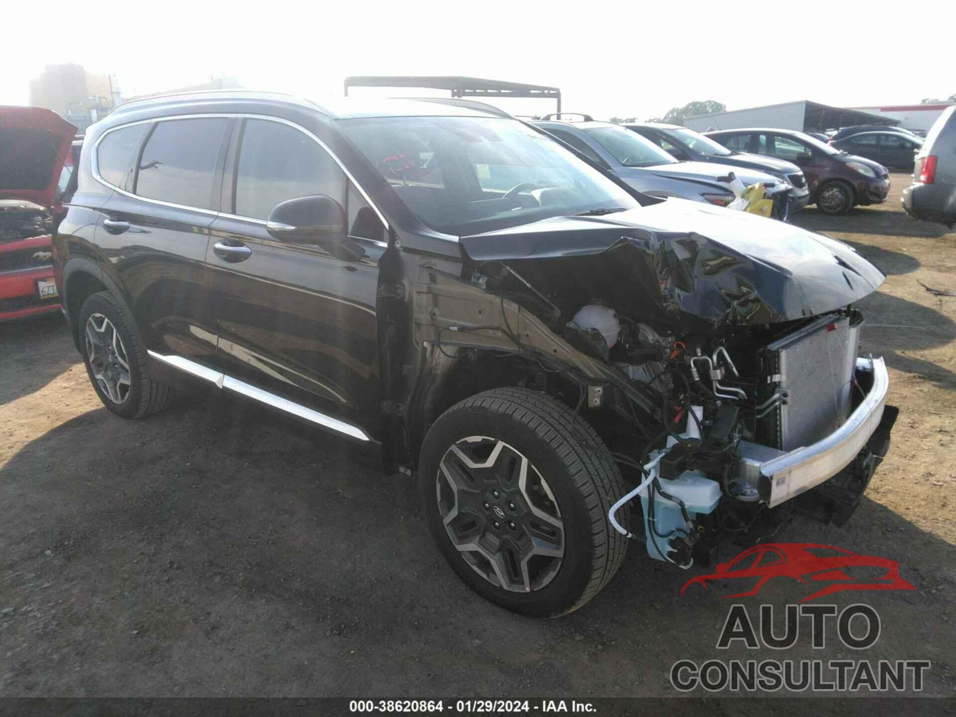 HYUNDAI SANTA FE 2023 - 5NMS4DAL8PH602863