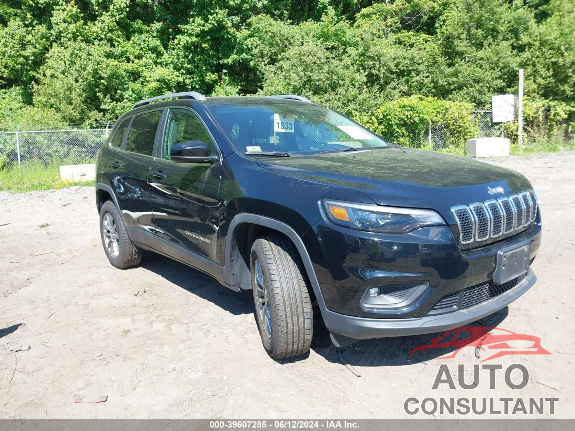 JEEP CHEROKEE 2019 - 1C4PJMLNXKD150560